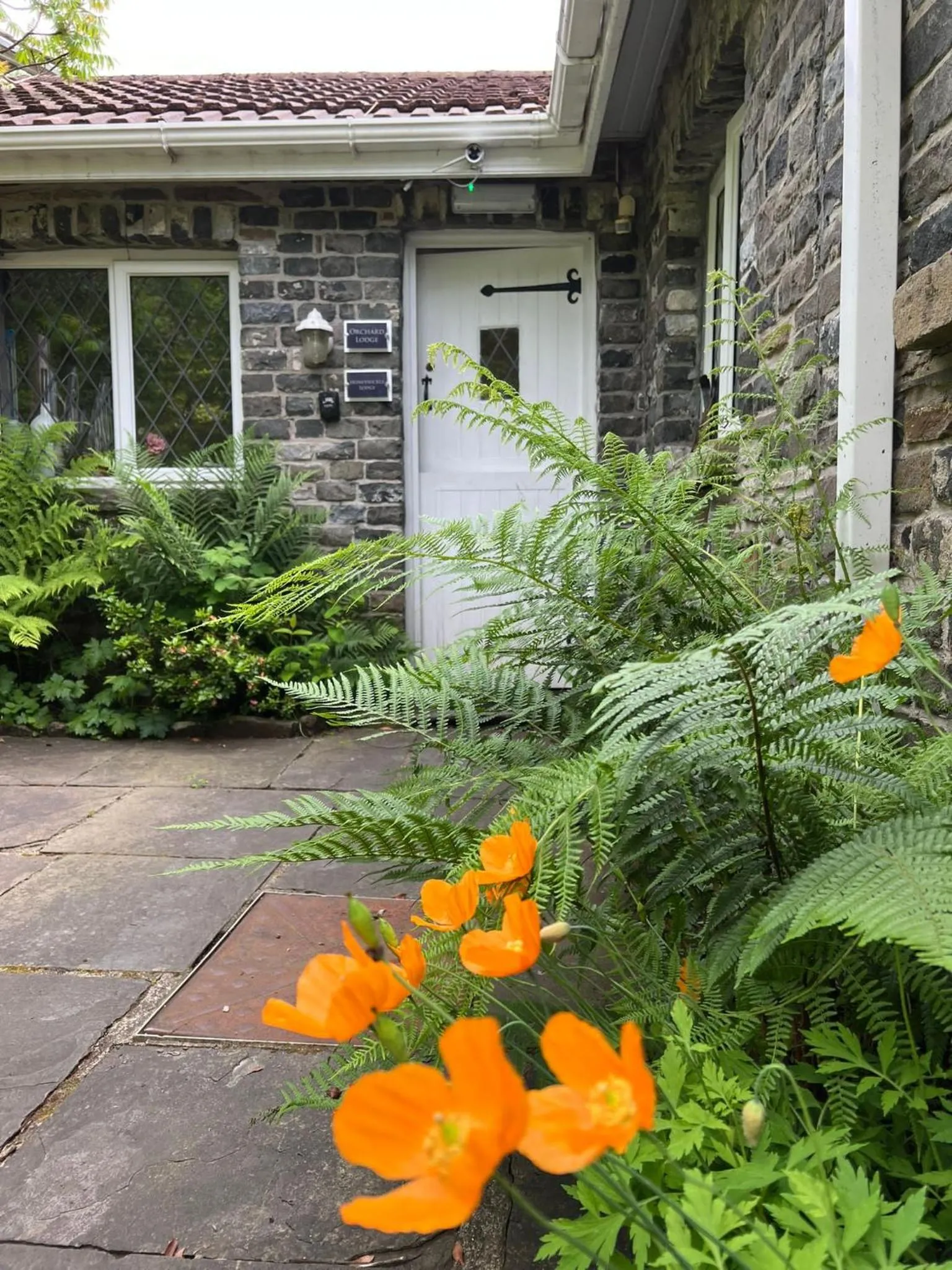 Property building in Cwmbach Guest House