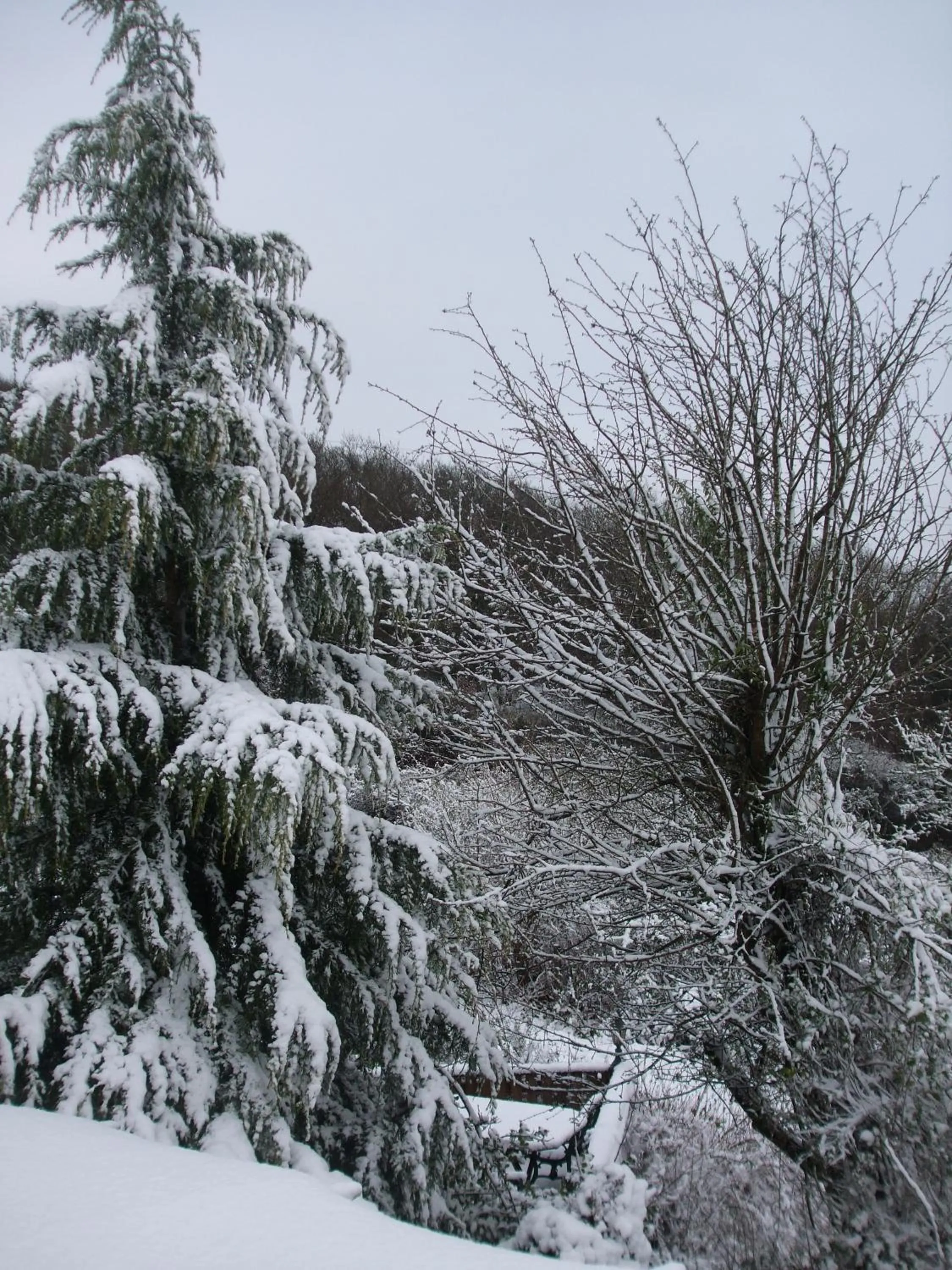 Natural landscape in Cwmbach Guest House