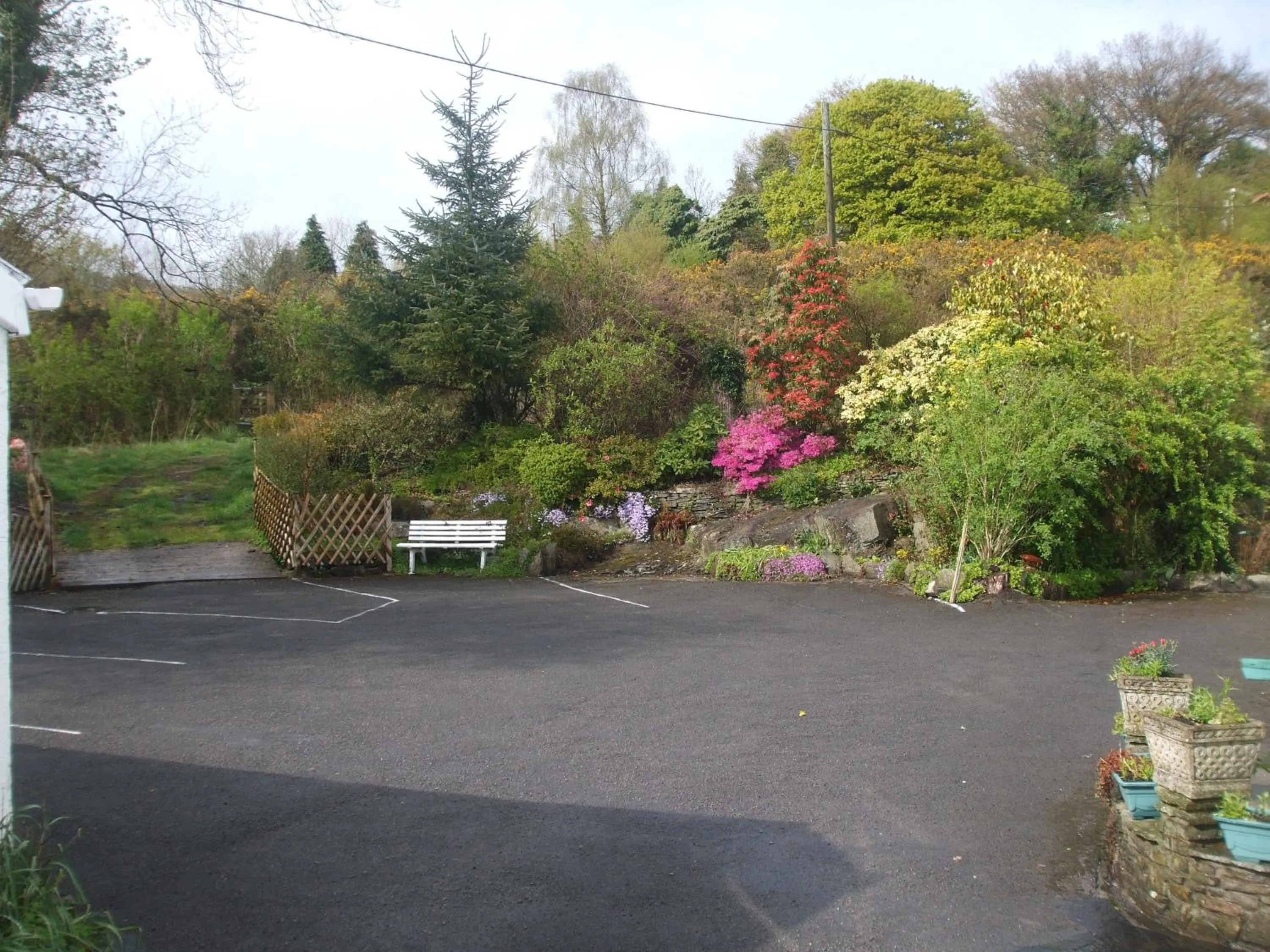 Garden in Cwmbach Guest House