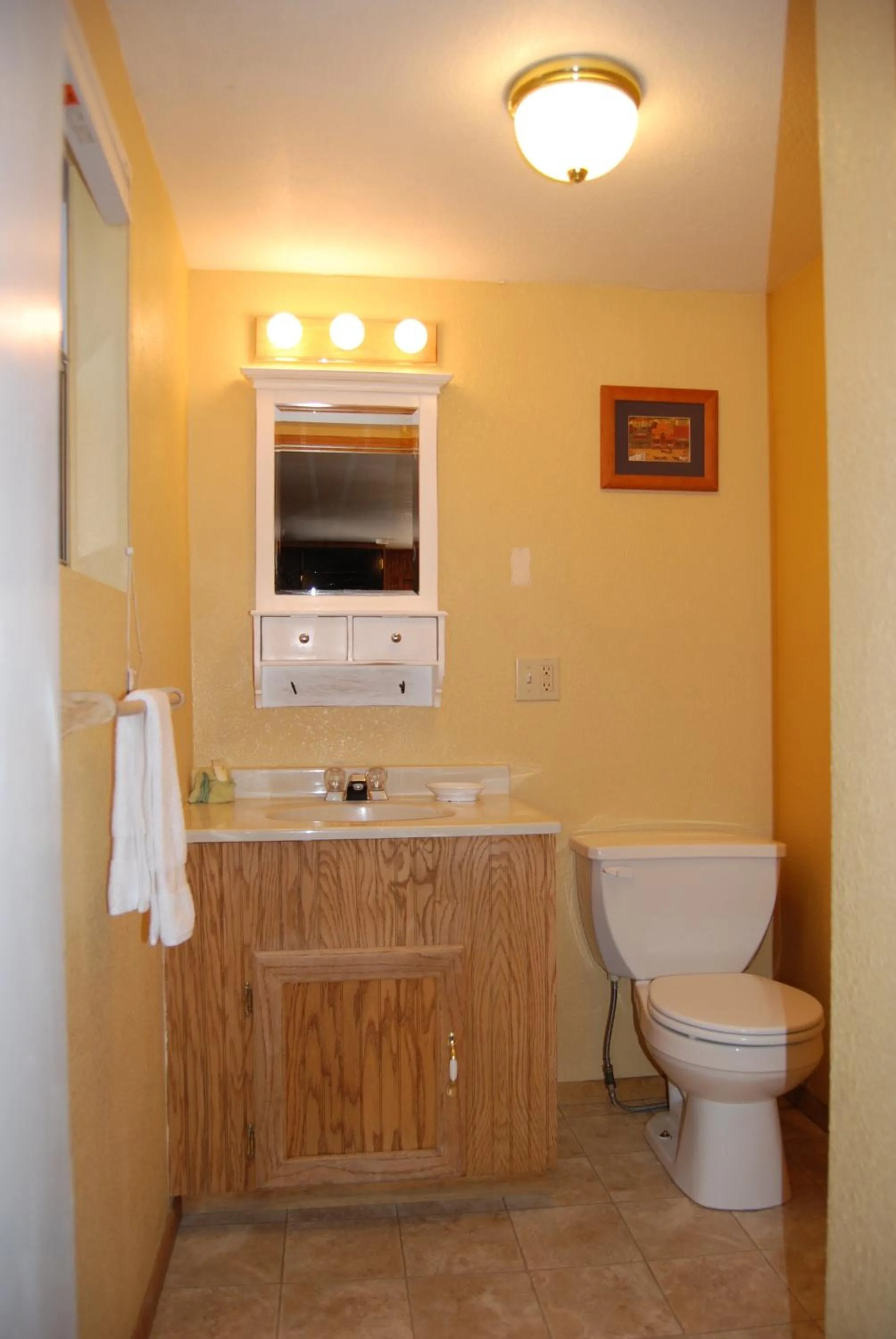 Toilet in Edelweiss Lodge