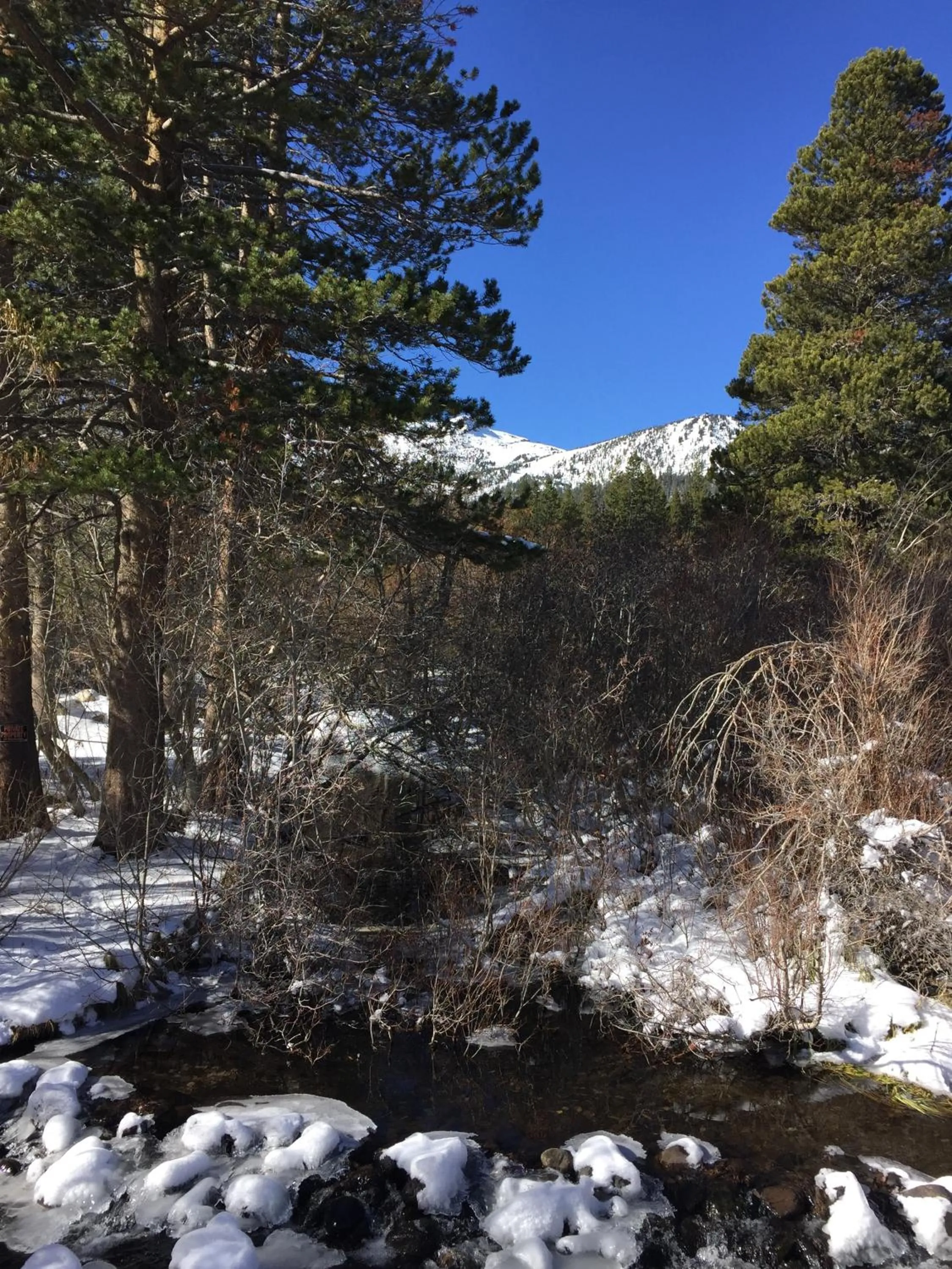 Natural landscape in Edelweiss Lodge