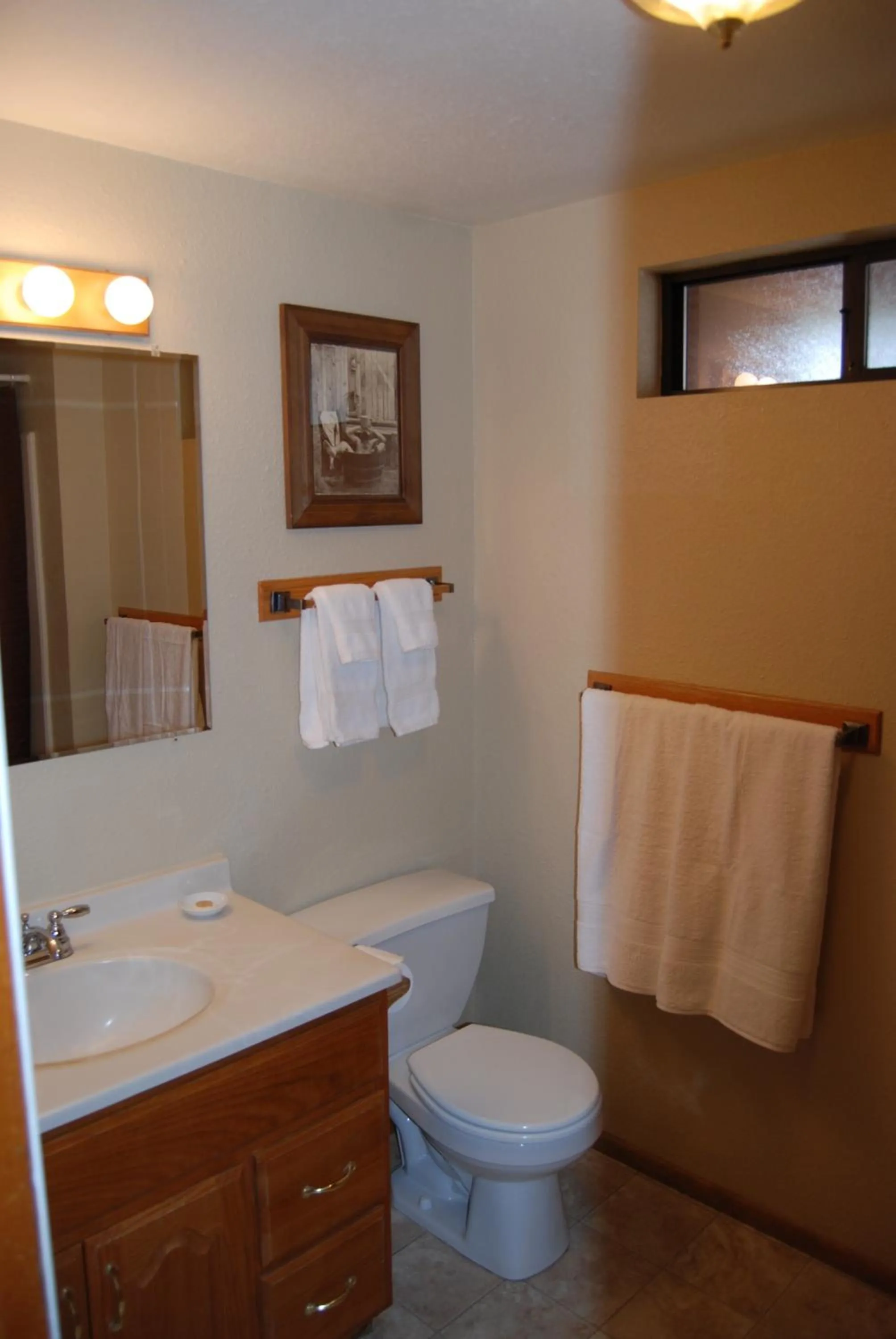 Bathroom in Edelweiss Lodge