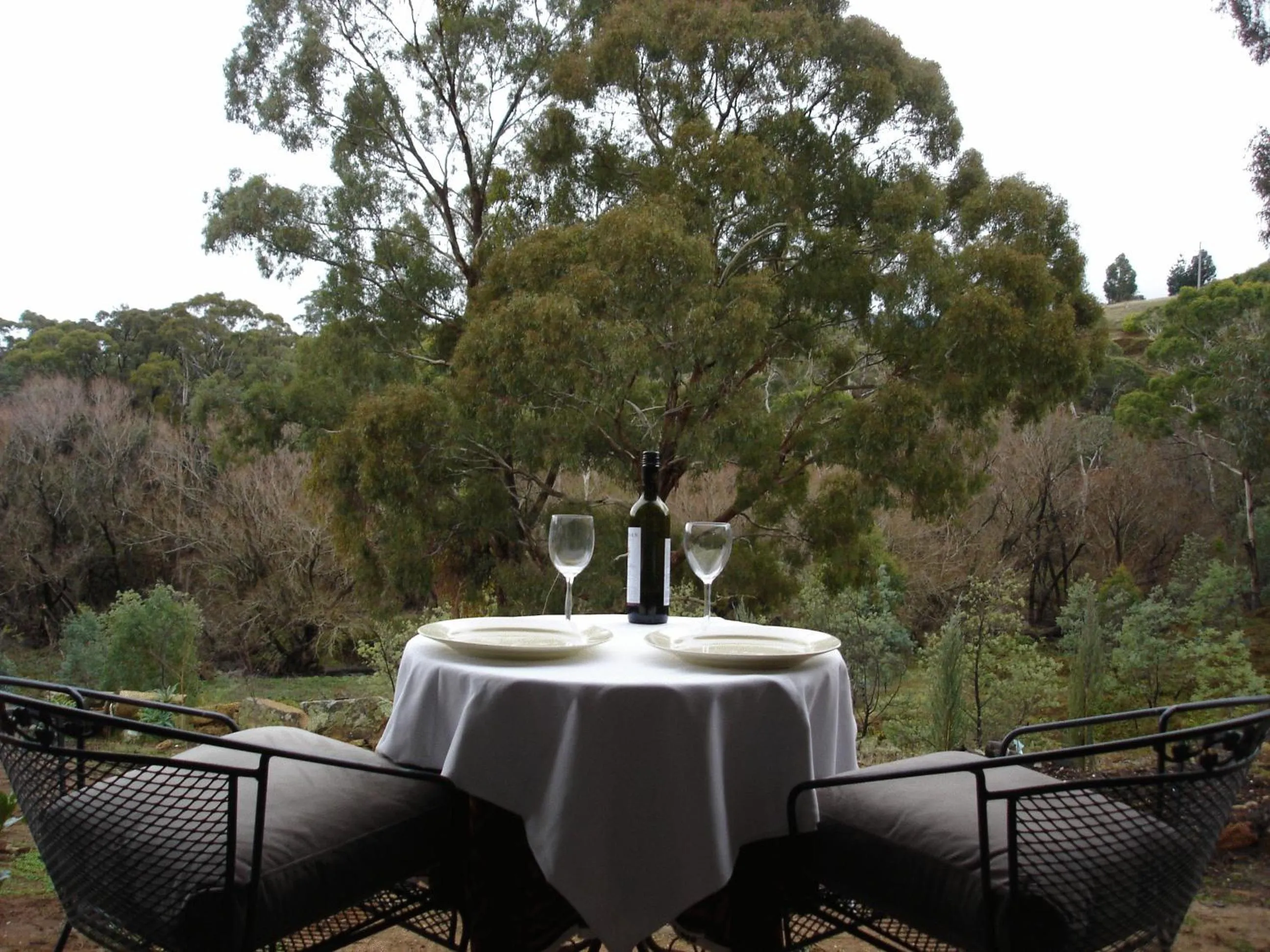 Natural landscape in Blue Cliffs Retreat