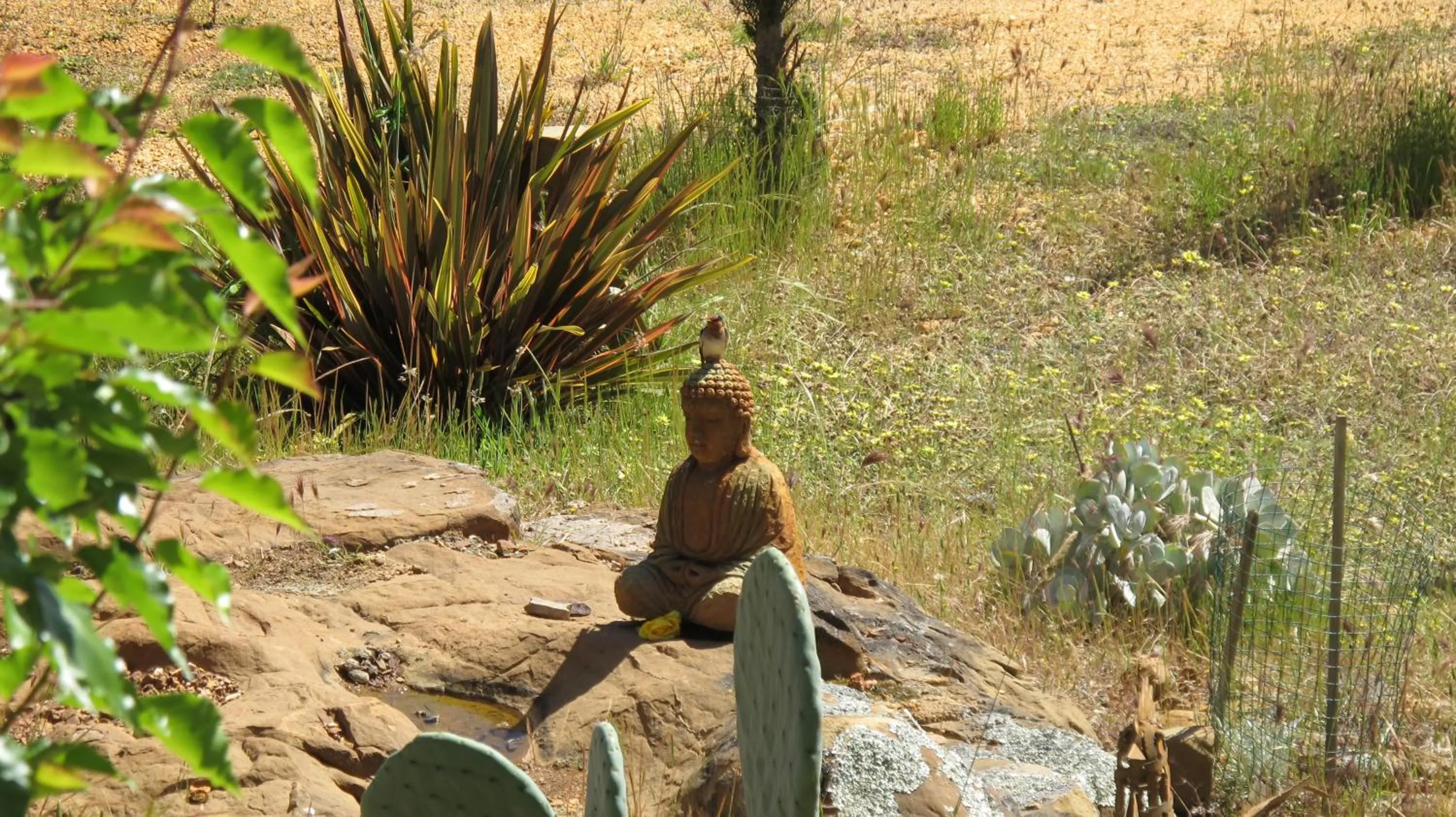 Garden in Blue Cliffs Retreat