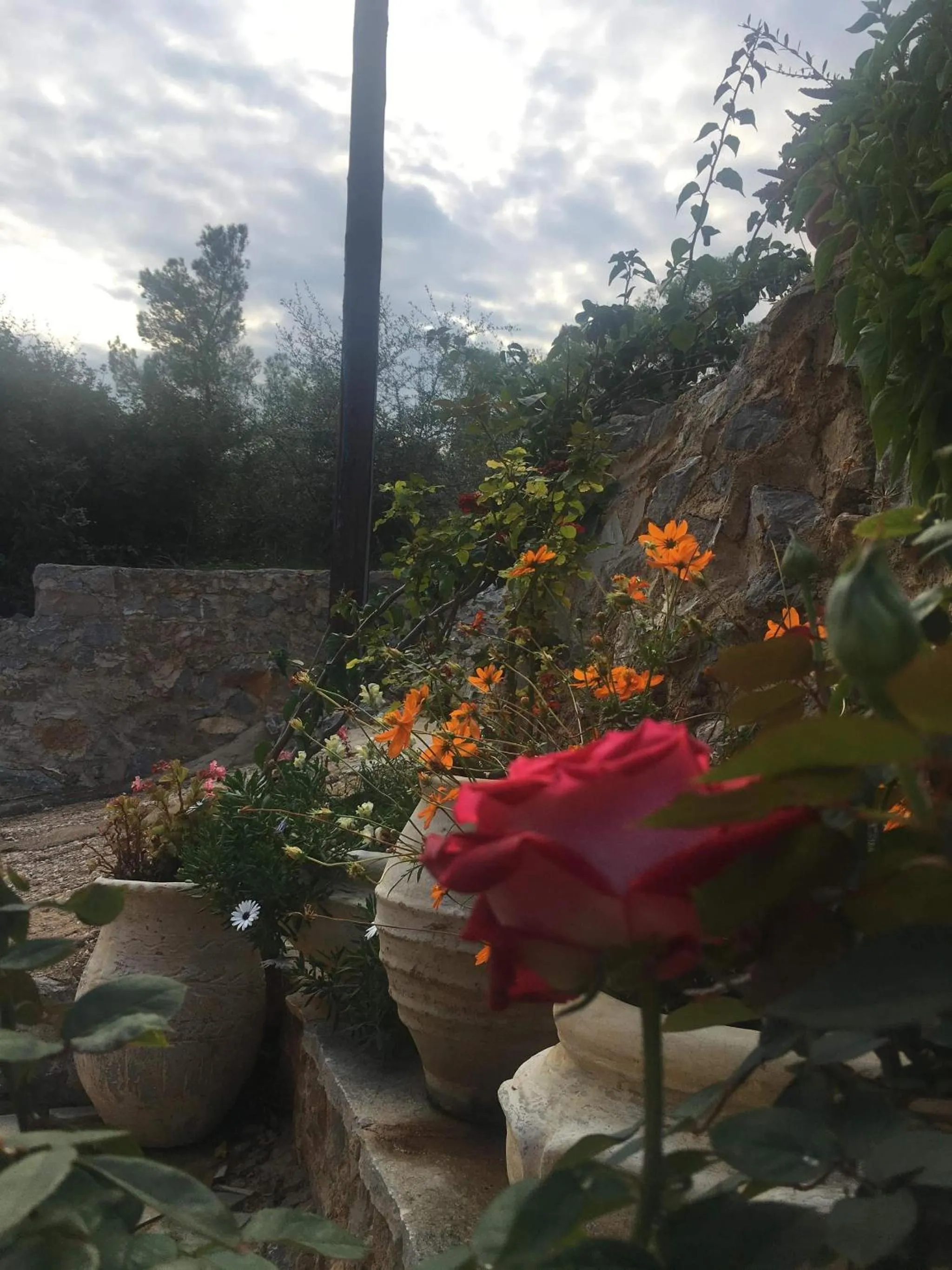 Garden in Fedra Apartments