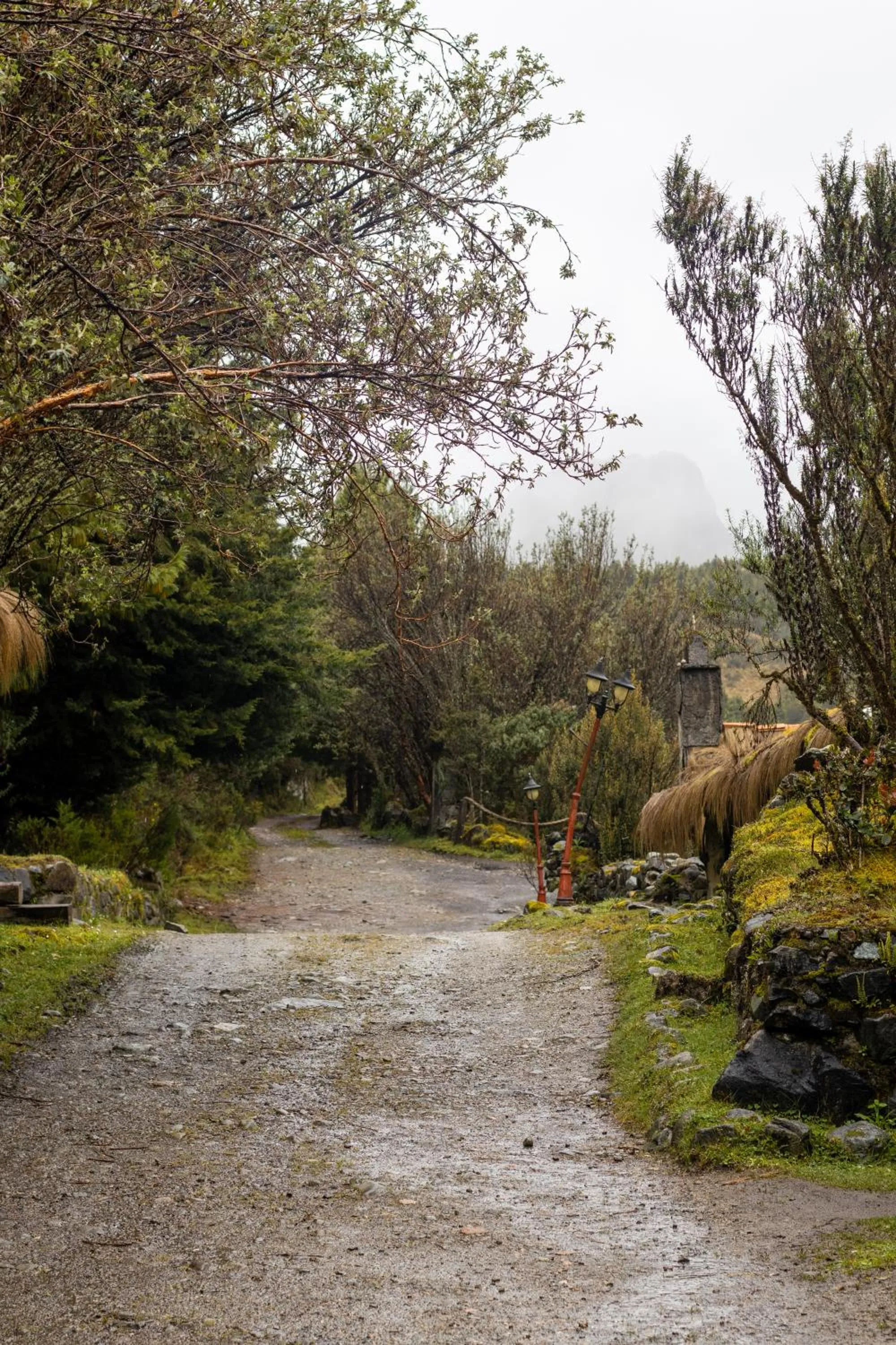 Natural landscape in Hacienda Hostería Dos Chorreras