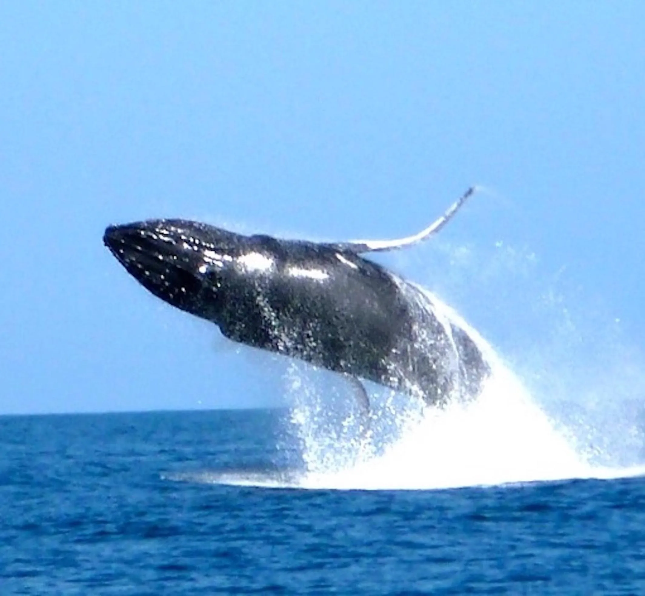 Activities in Sandcastle Resort