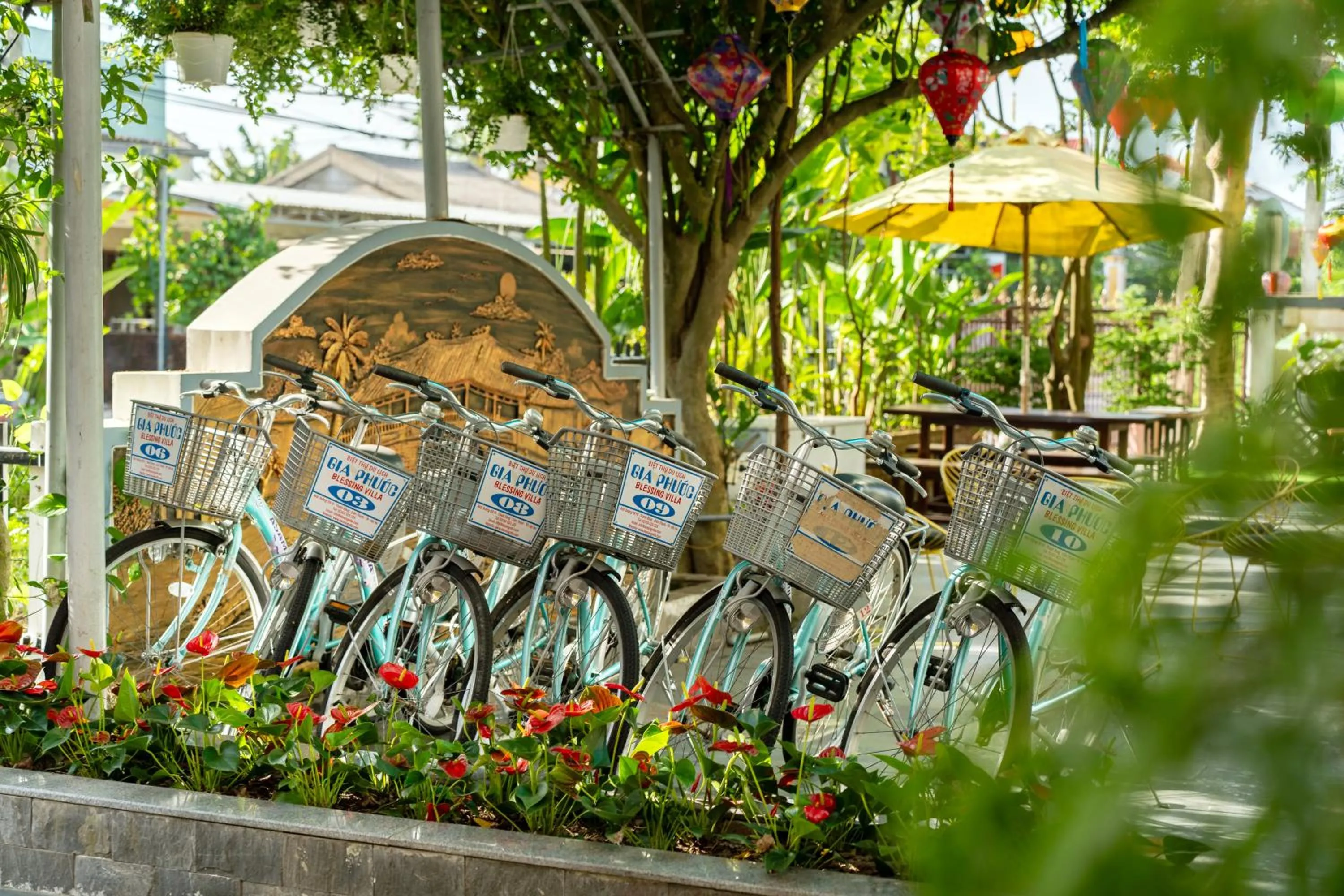Cycling in Blessing Villa Hoi An