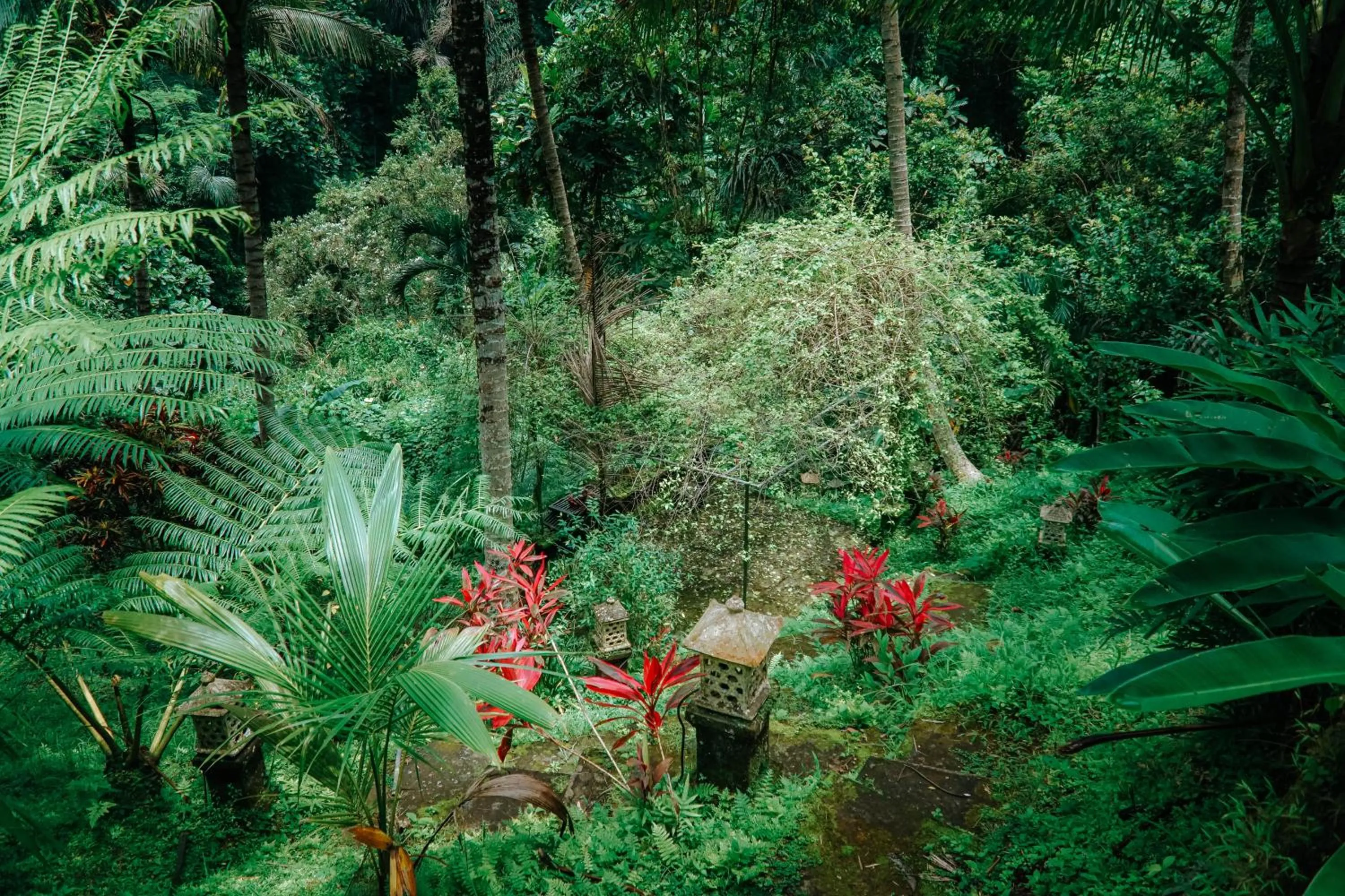 Garden view in The Mahogany Villa Ubud
