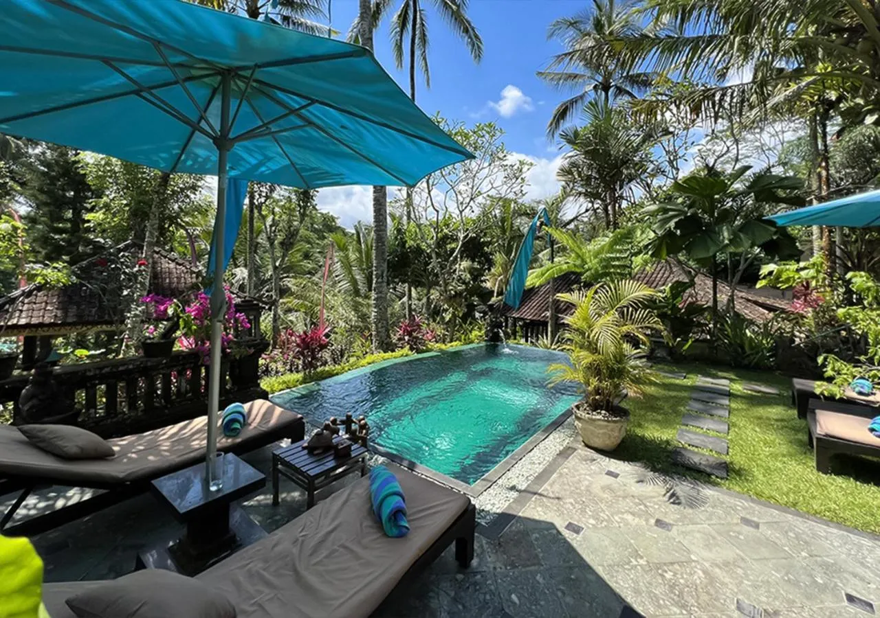 Swimming pool in The Mahogany Villa Ubud
