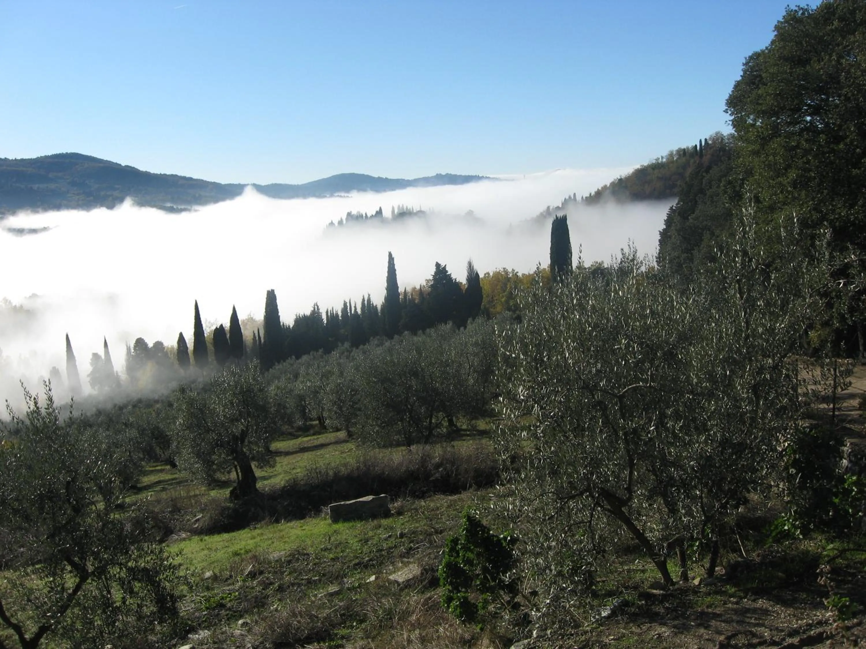 Natural landscape in Agriturismo Villa Di Campolungo