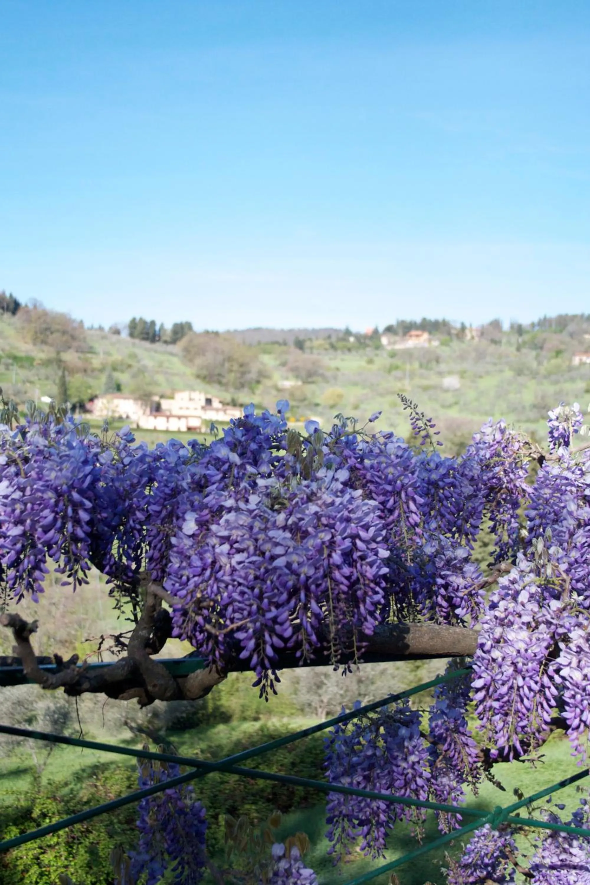 Garden in Agriturismo Villa Di Campolungo