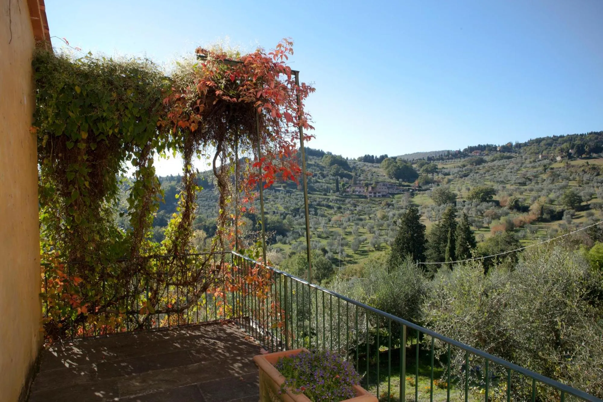 Balcony/Terrace in Agriturismo Villa Di Campolungo