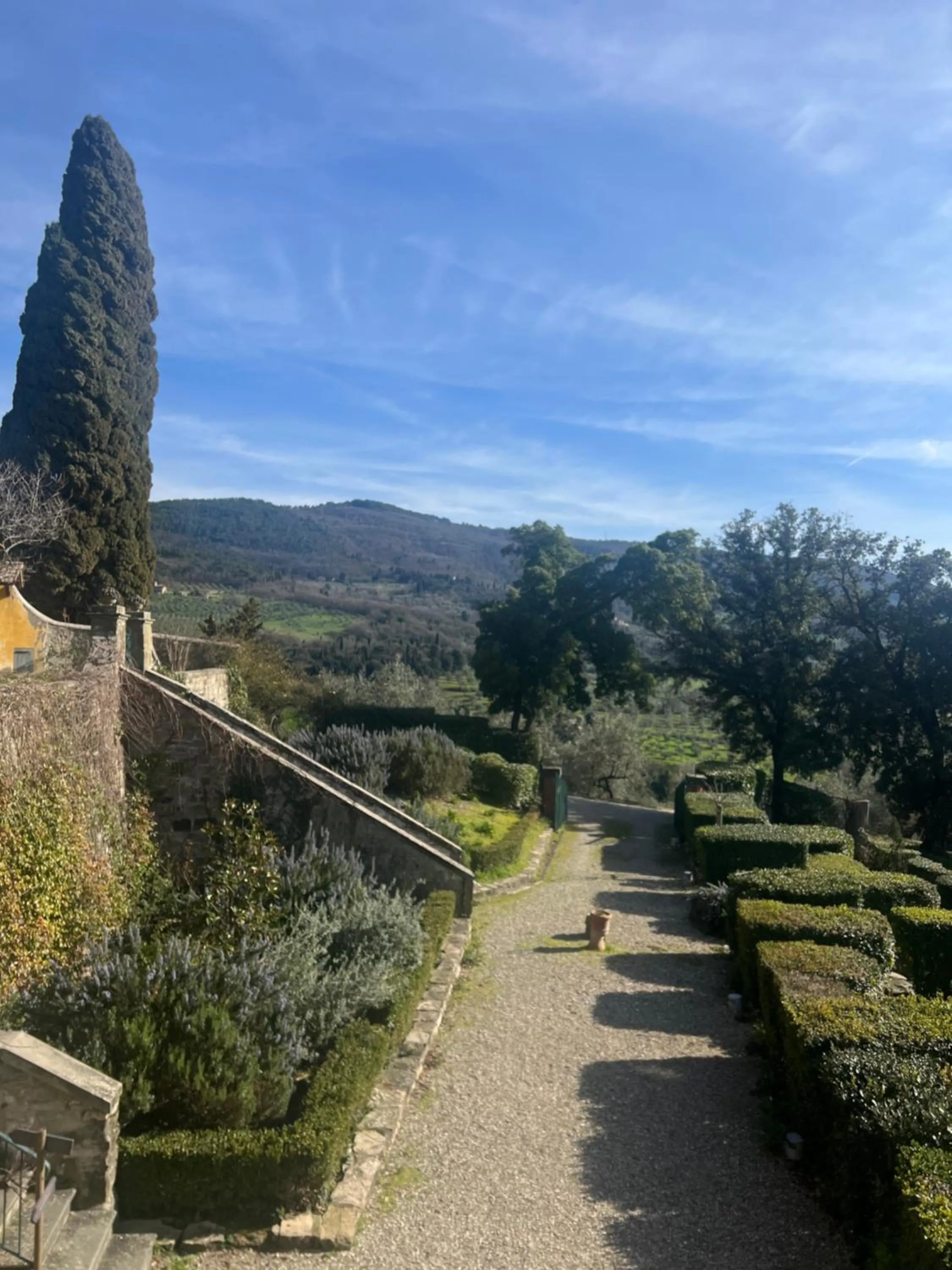View (from property/room) in Agriturismo Villa Di Campolungo