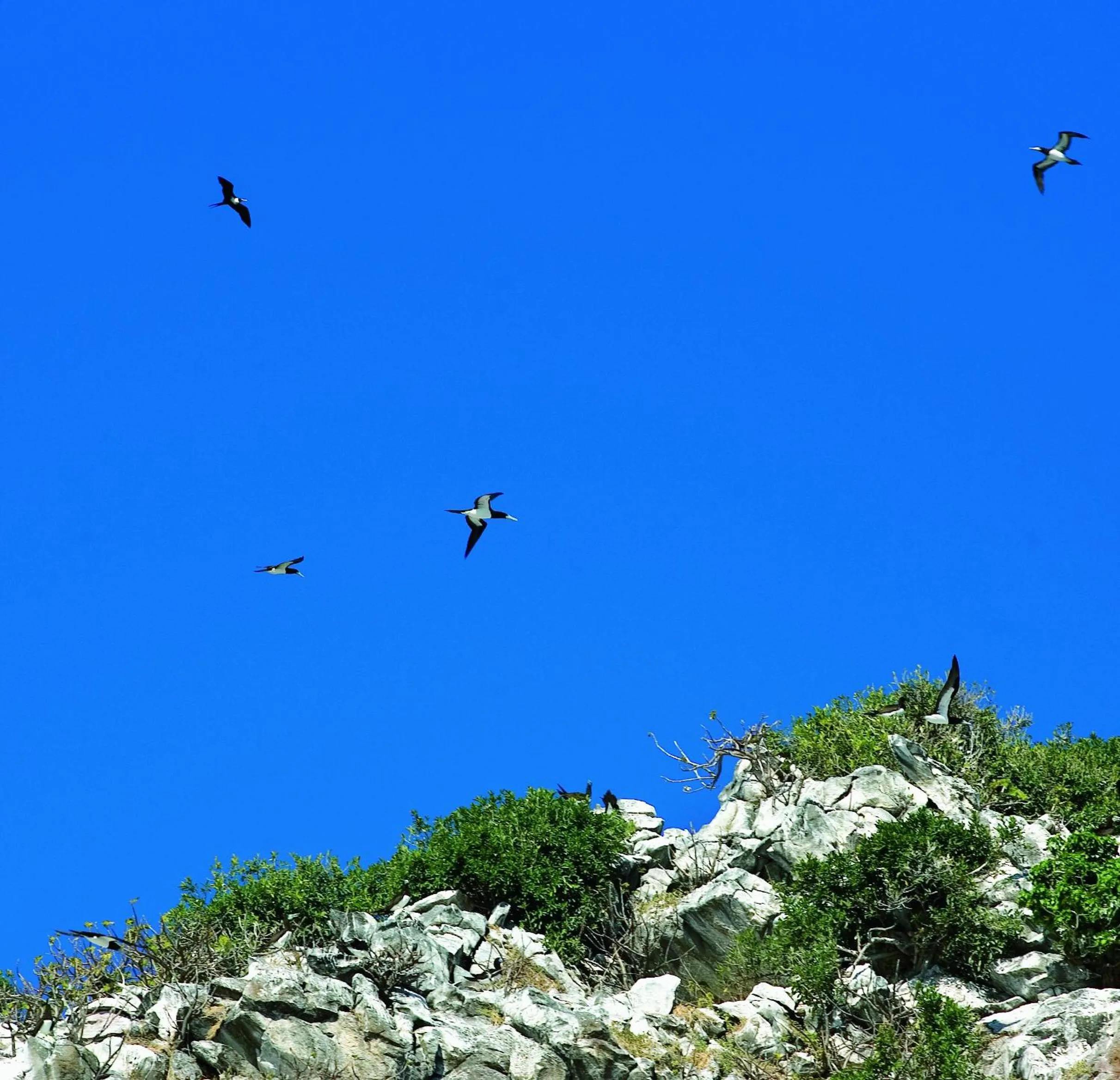Natural landscape in Constance Tsarabanjina - All Inclusive