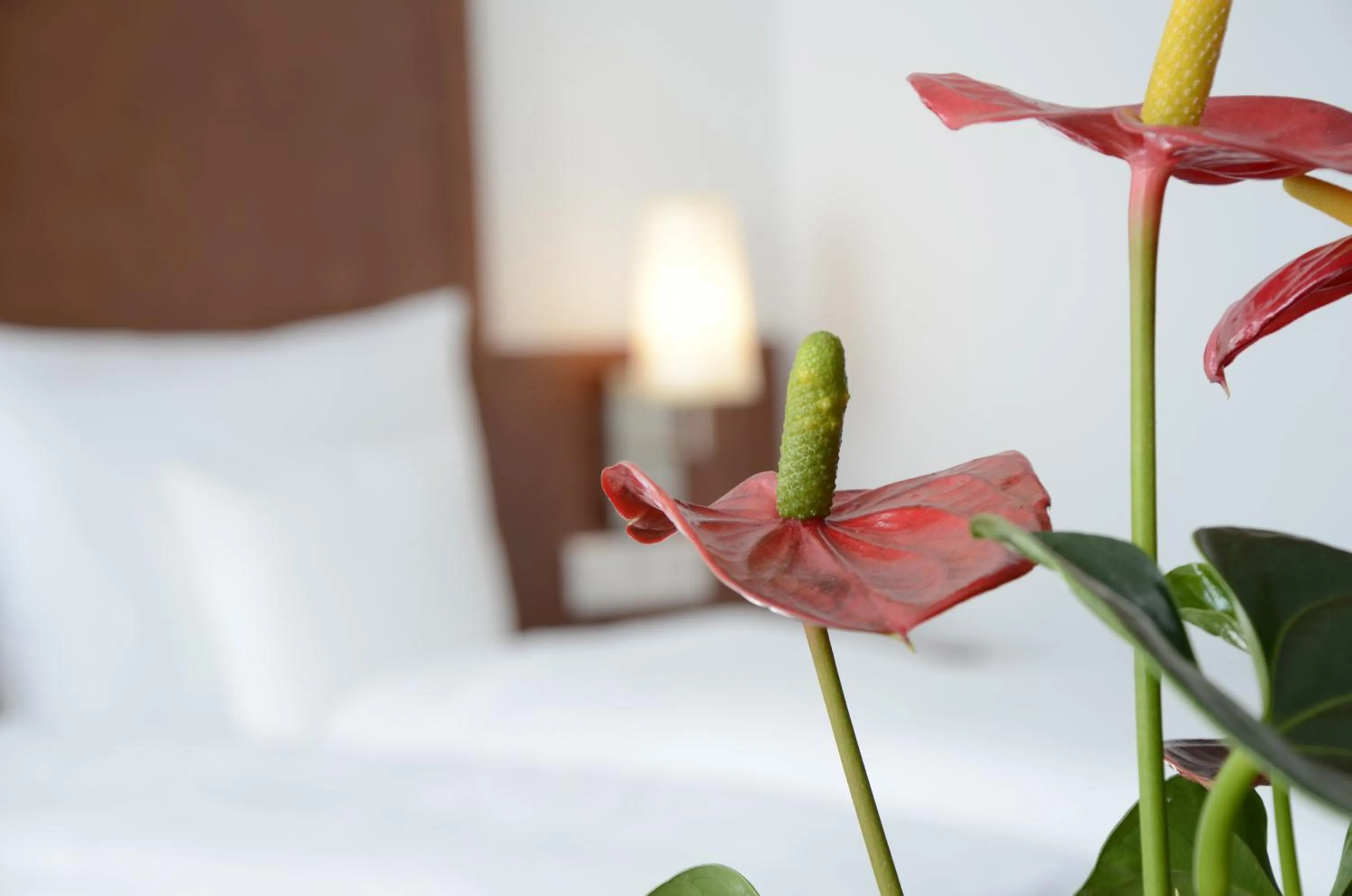 Decorative detail, Bed in Weichandhof