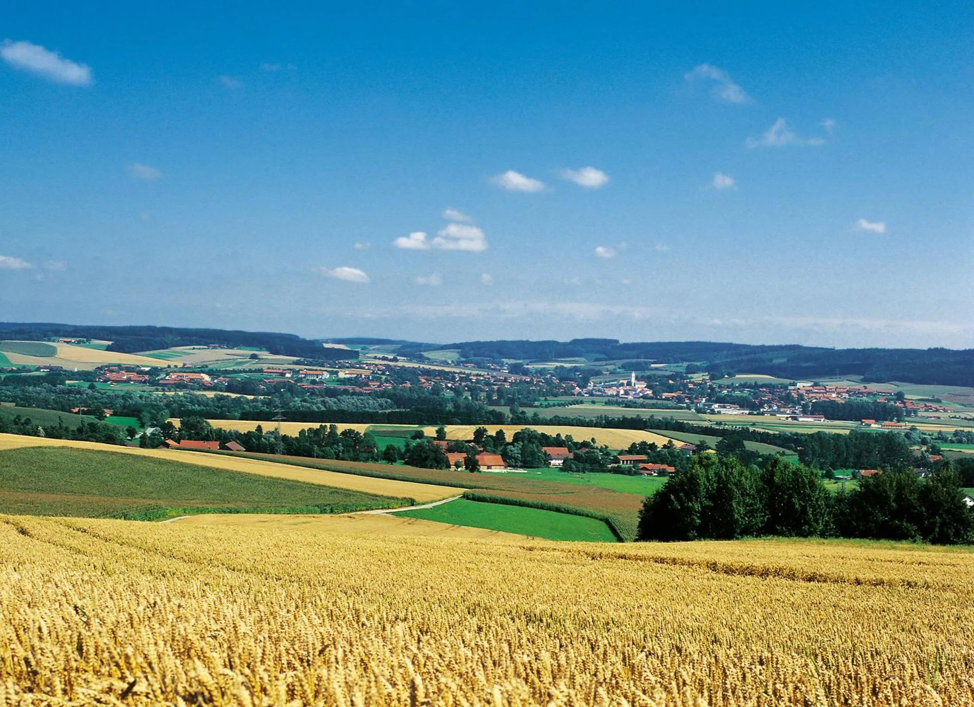 Natural landscape in Hotel Lenauhof