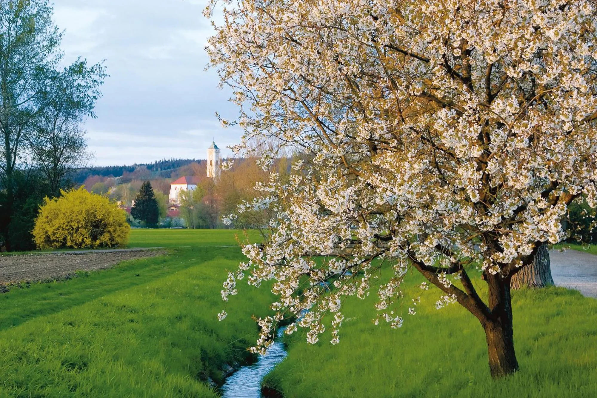 Natural landscape in Hotel Lenauhof