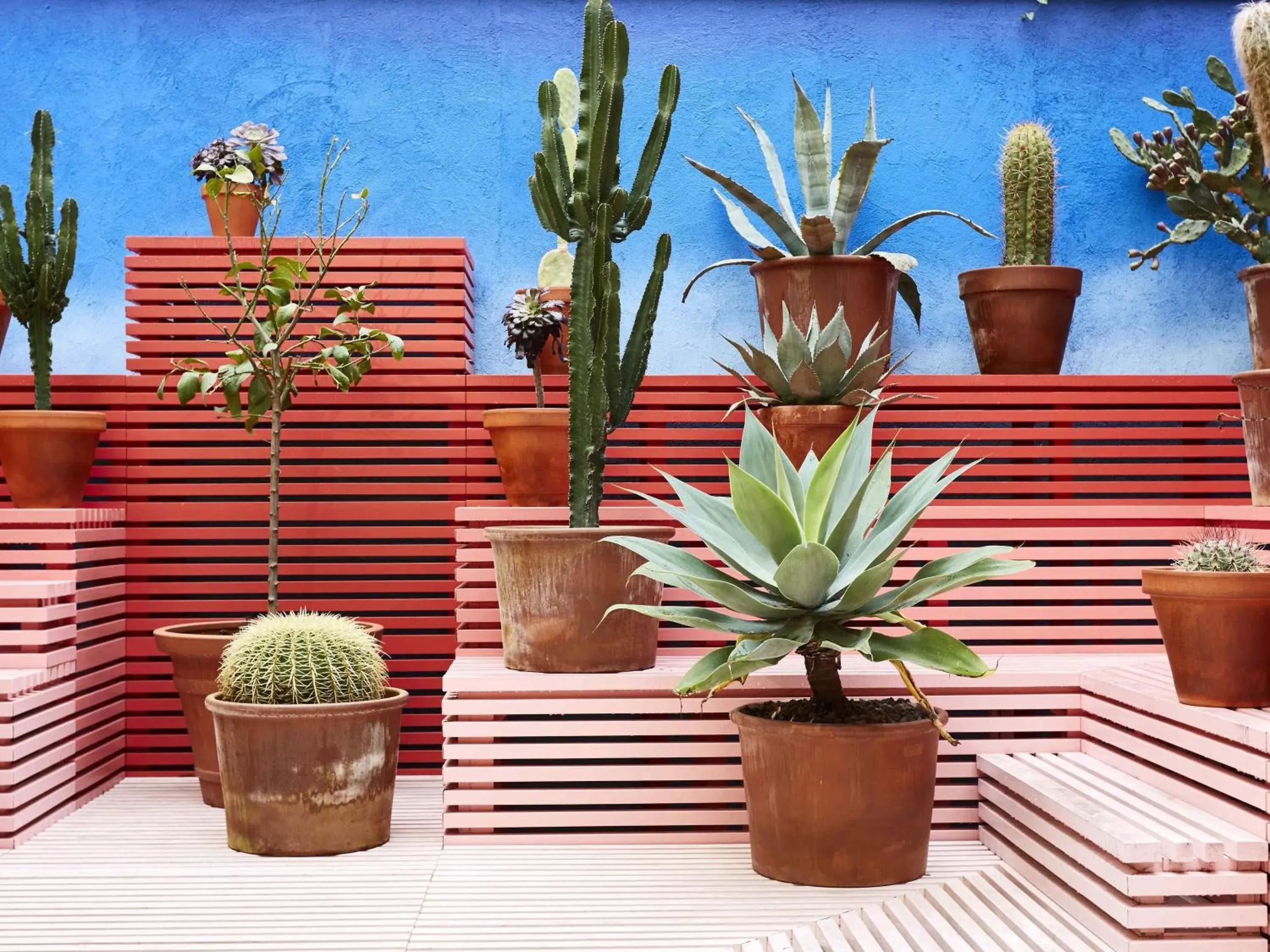 Restaurant/places to eat in Mama Shelter Marseille Restaurant/places to eat in Mama Shelter Marseille