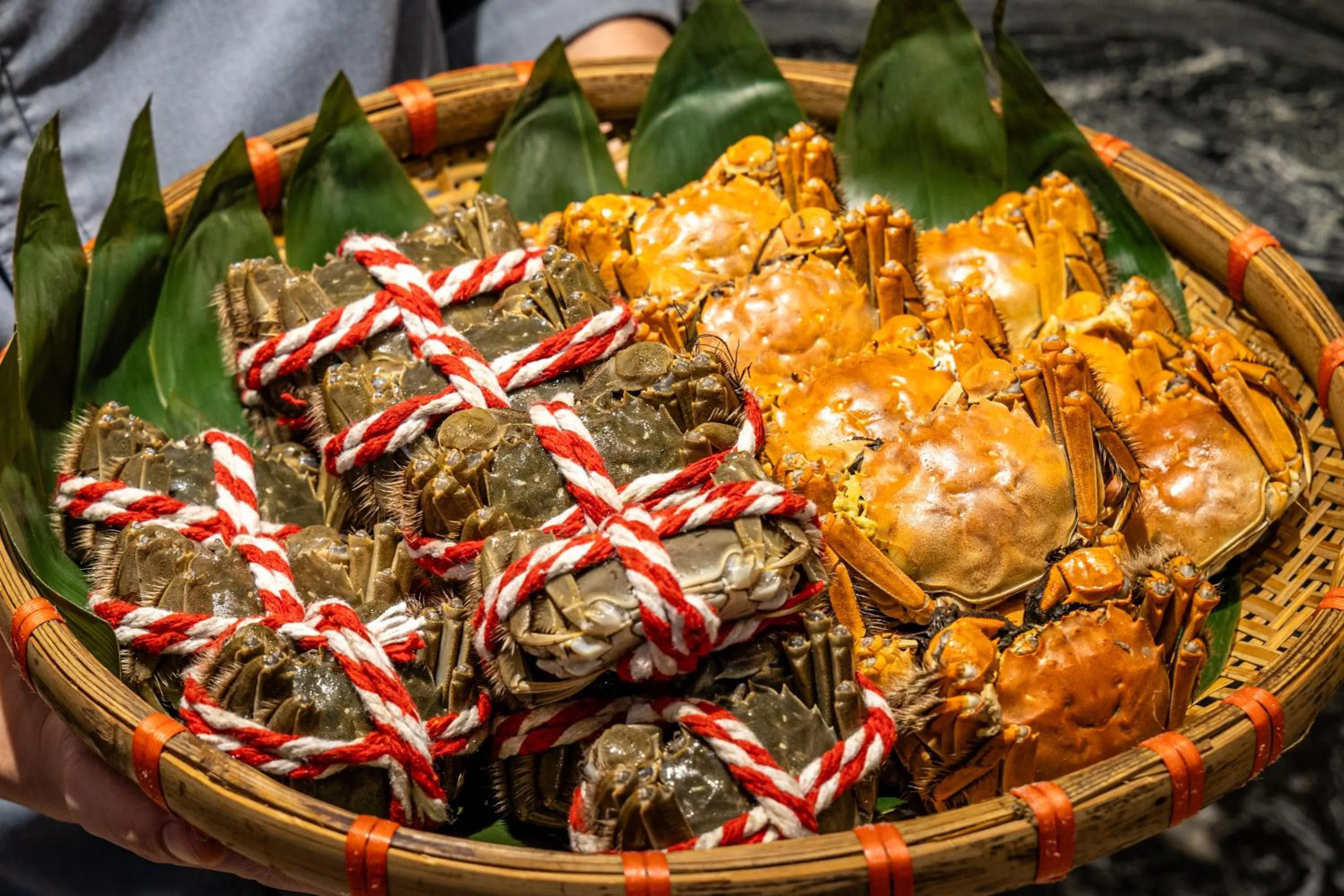 The Westin Guangzhou