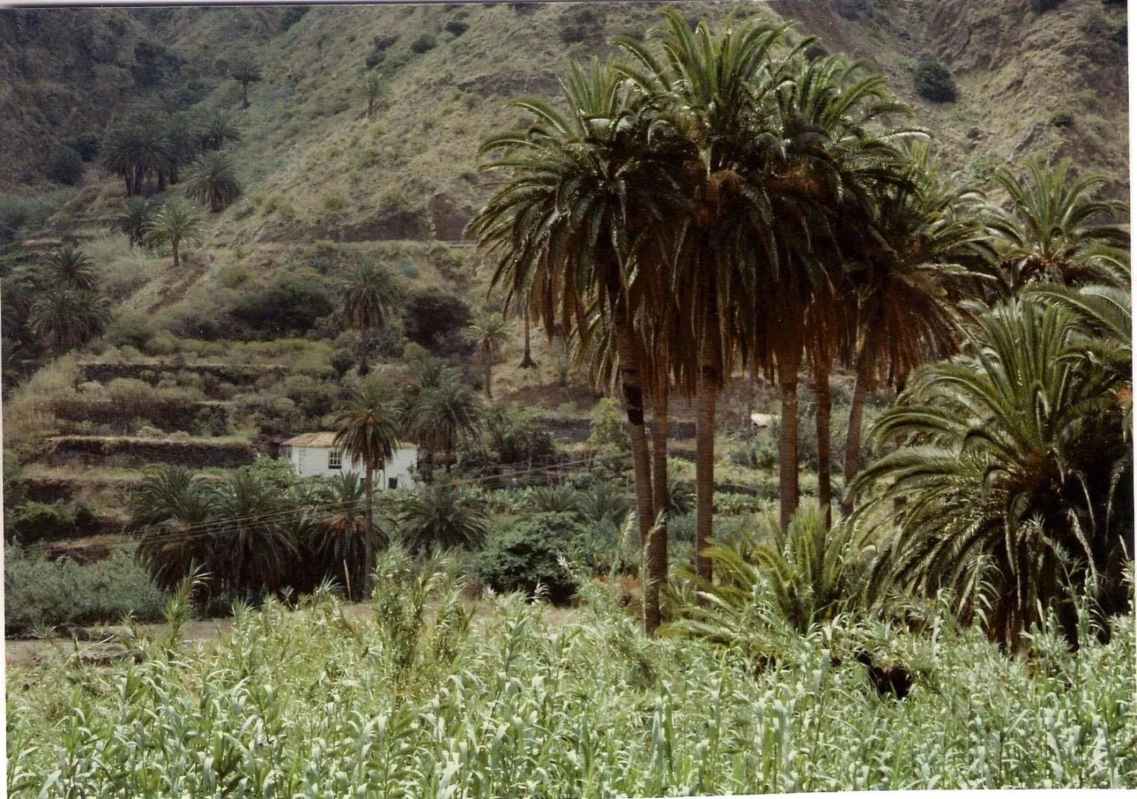 Natural landscape in Finca Piñero