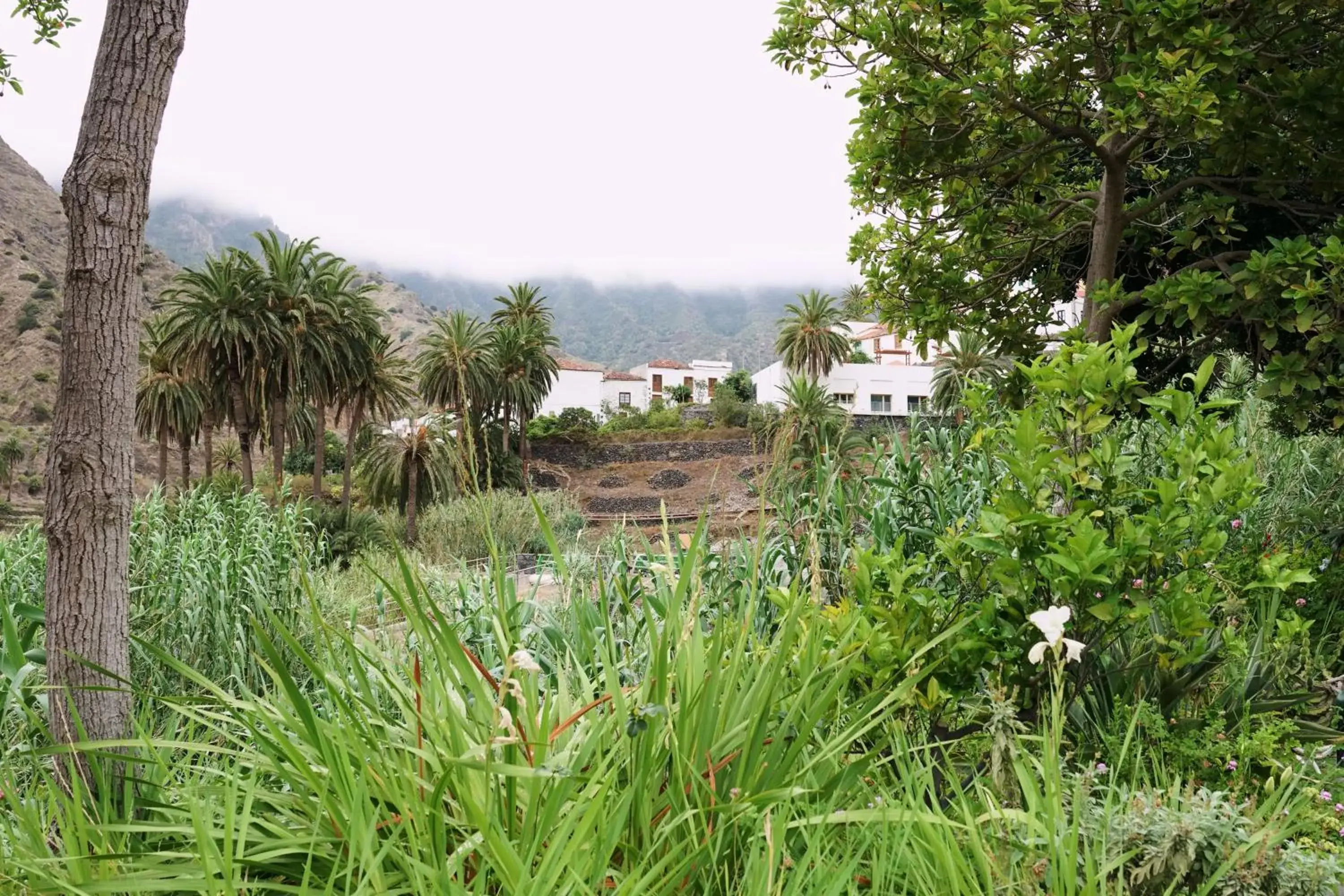 Mountain view in Finca Piñero Mountain view in Finca Piñero