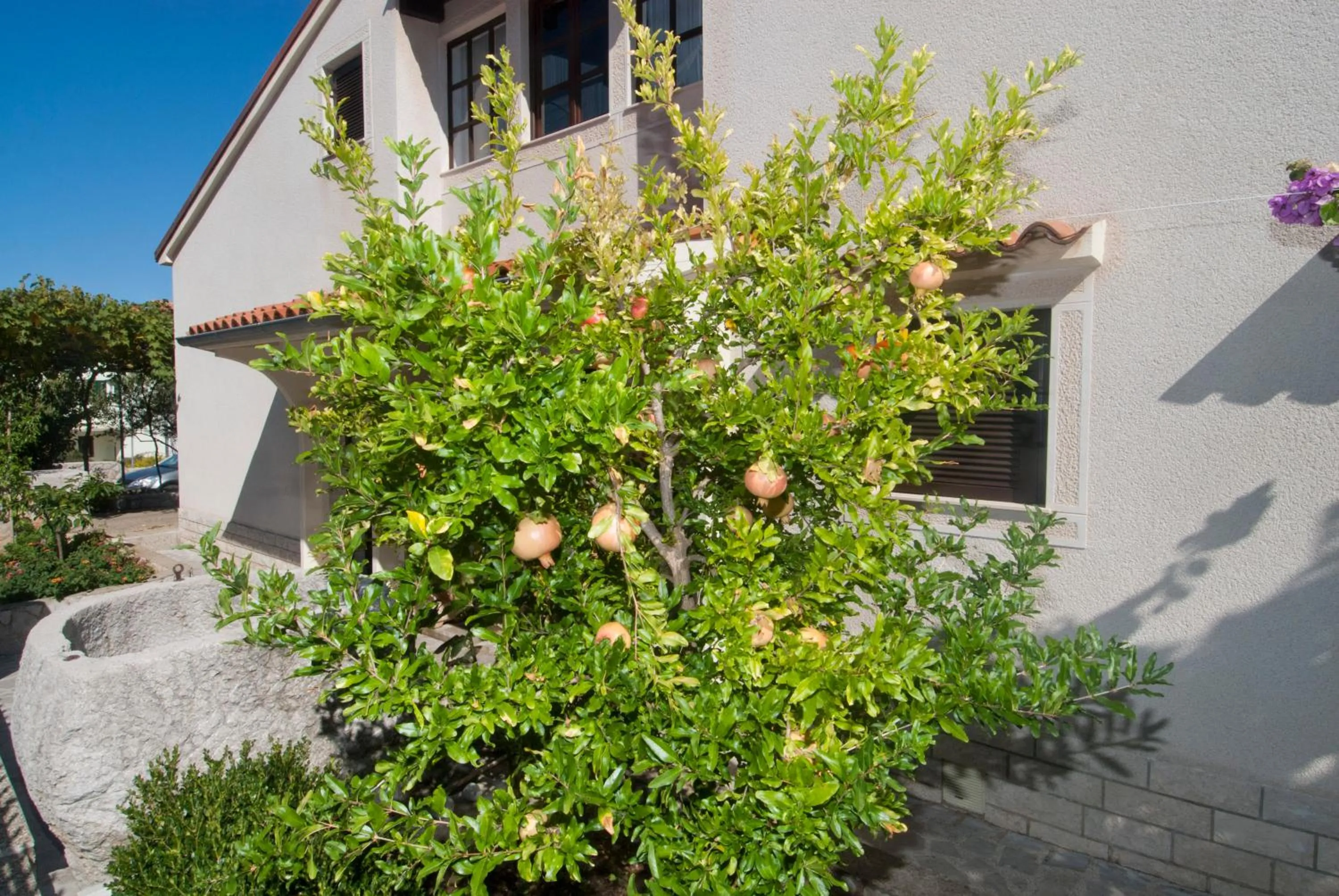 Facade/entrance in Apartments Anci