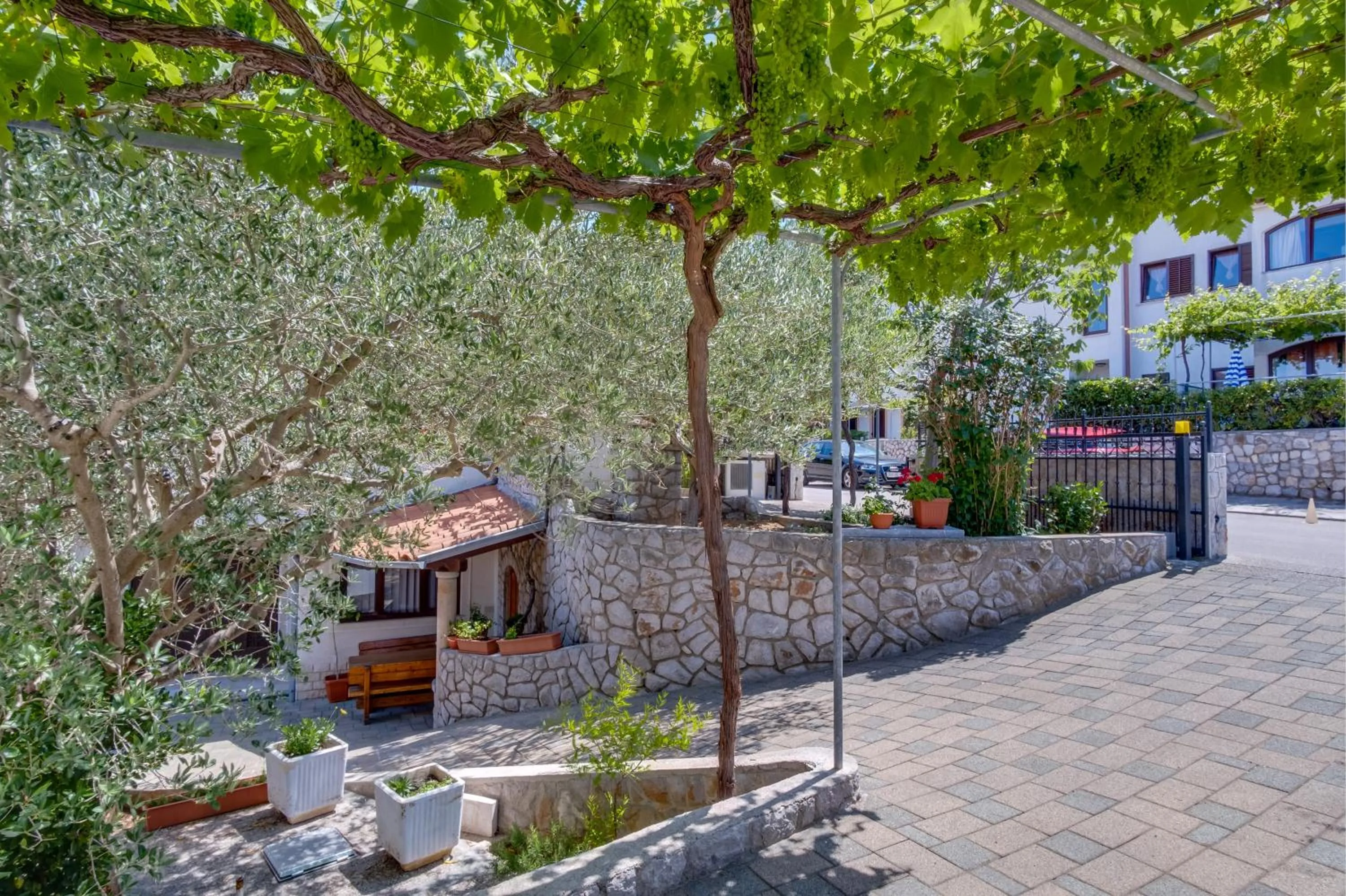 Apartments Anci