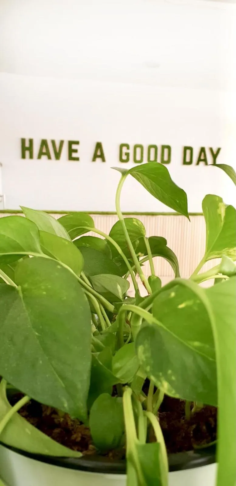 Lobby or reception in Hotel Blumen