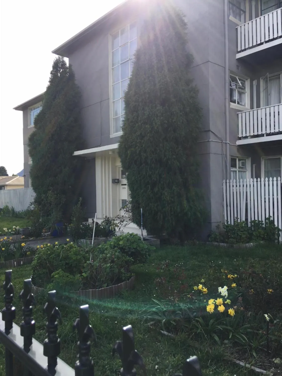 Garden, Property Building in Hobart Apartments