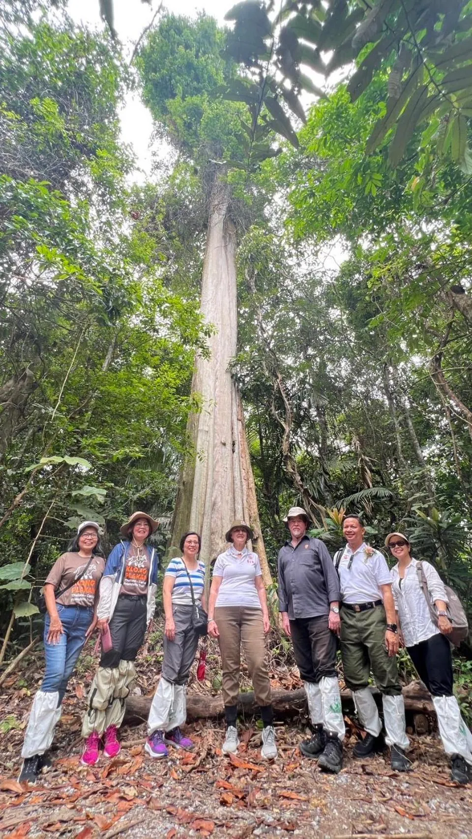 Activities in The Piano Resort Khaoyai