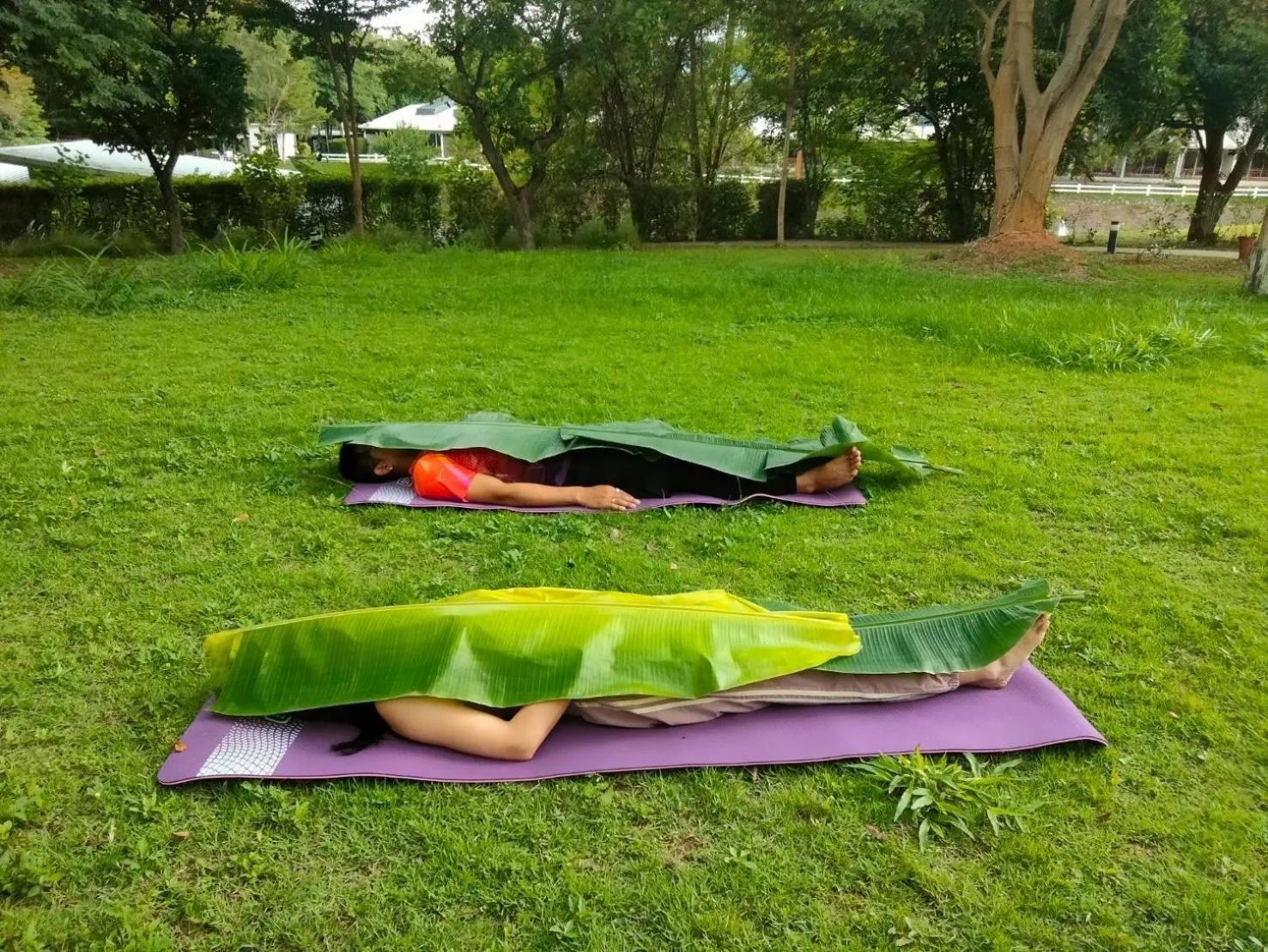 The Piano Resort Khaoyai