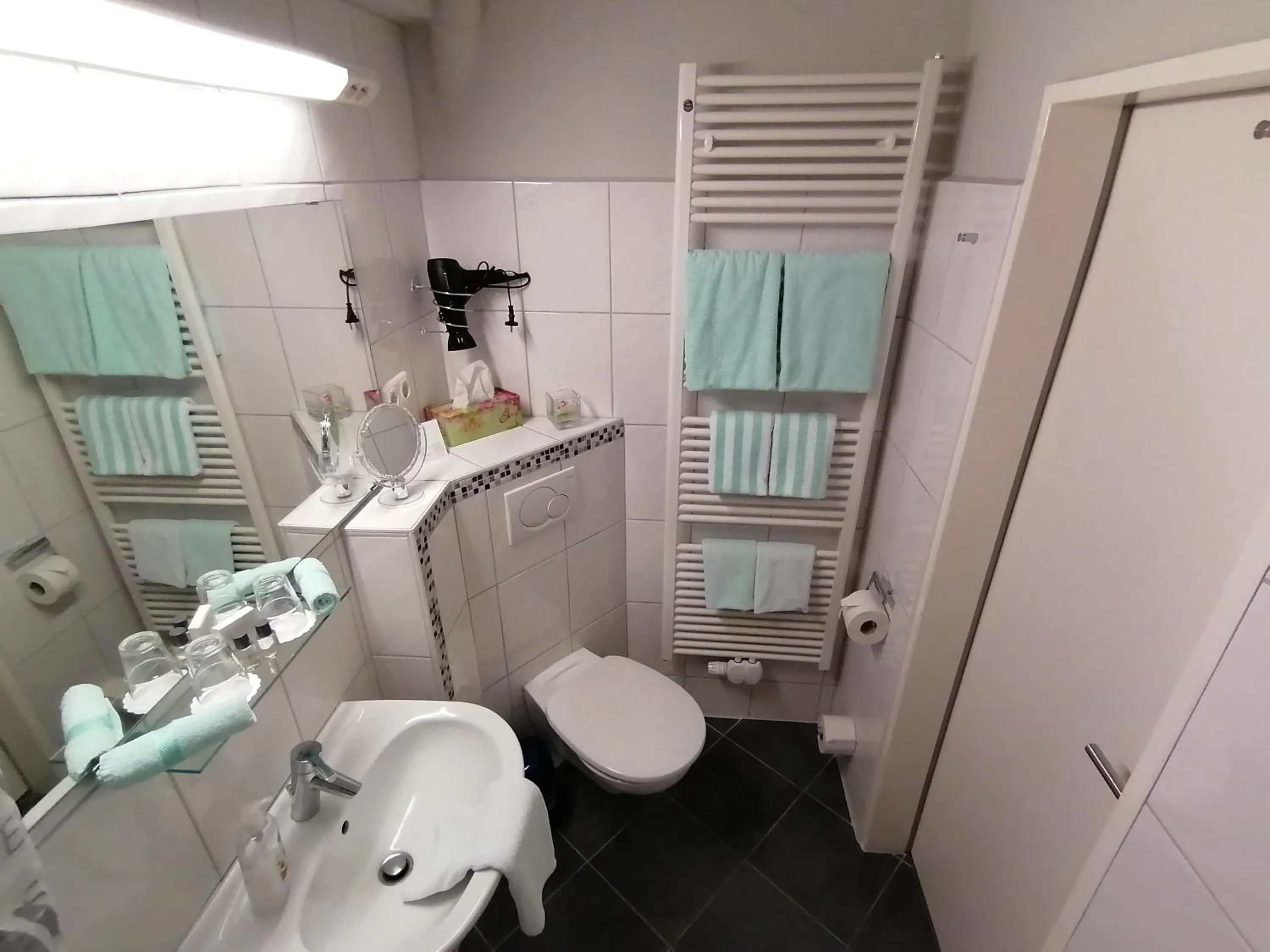 Bathroom in Hotel Diekseequell Superior am Dieksee