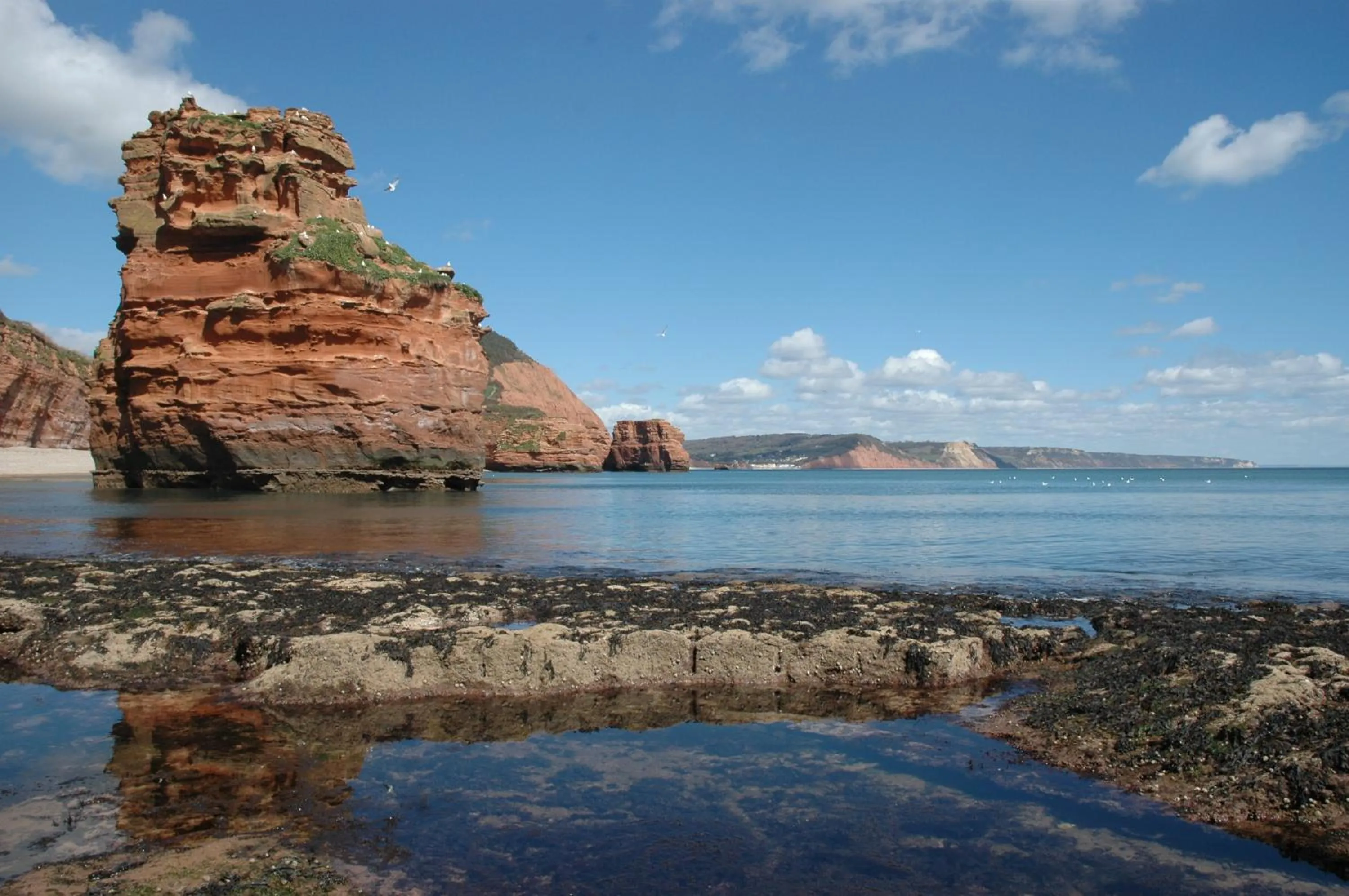 Natural landscape in Mortons Manor