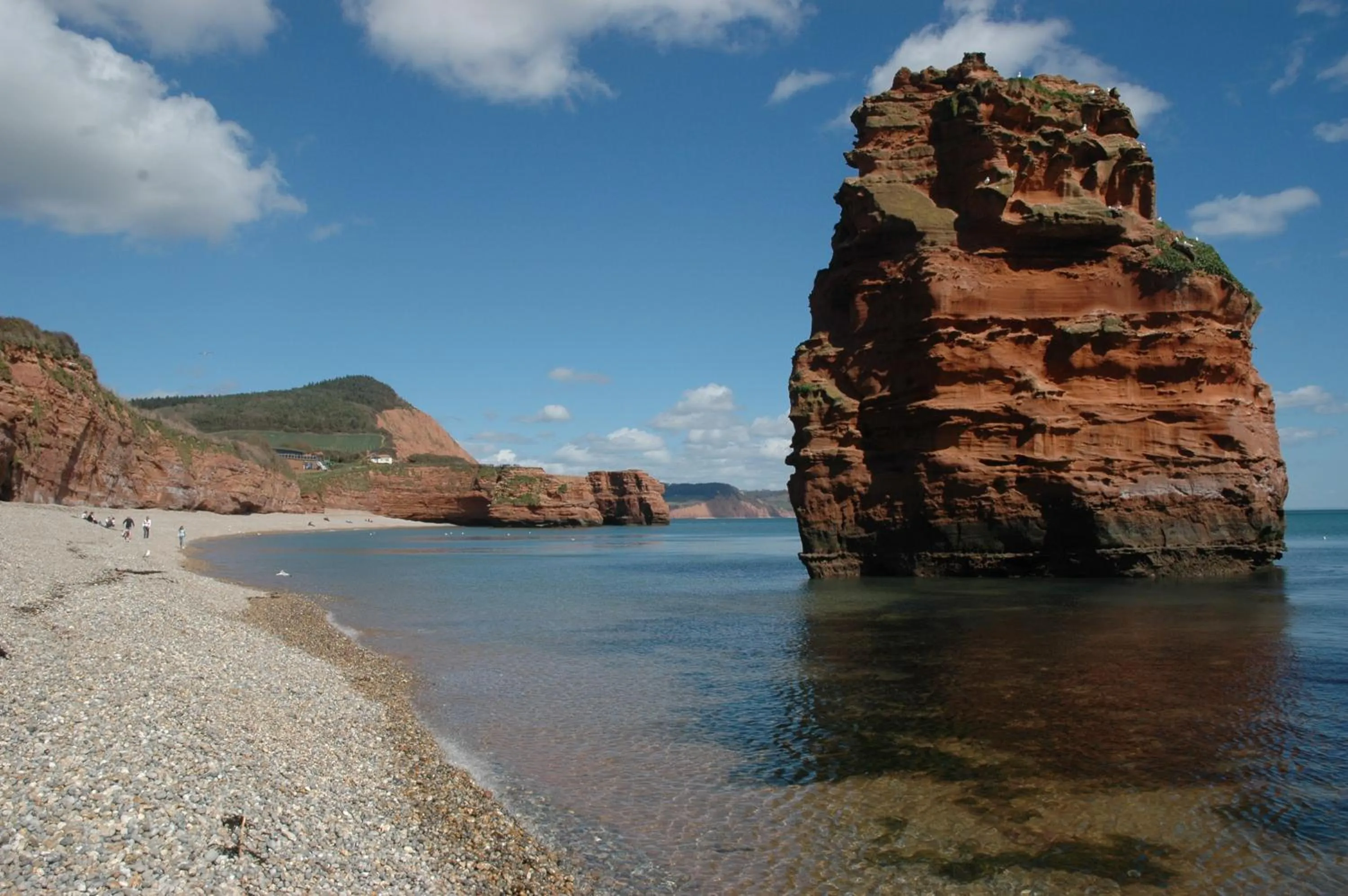 Natural landscape in Mortons Manor