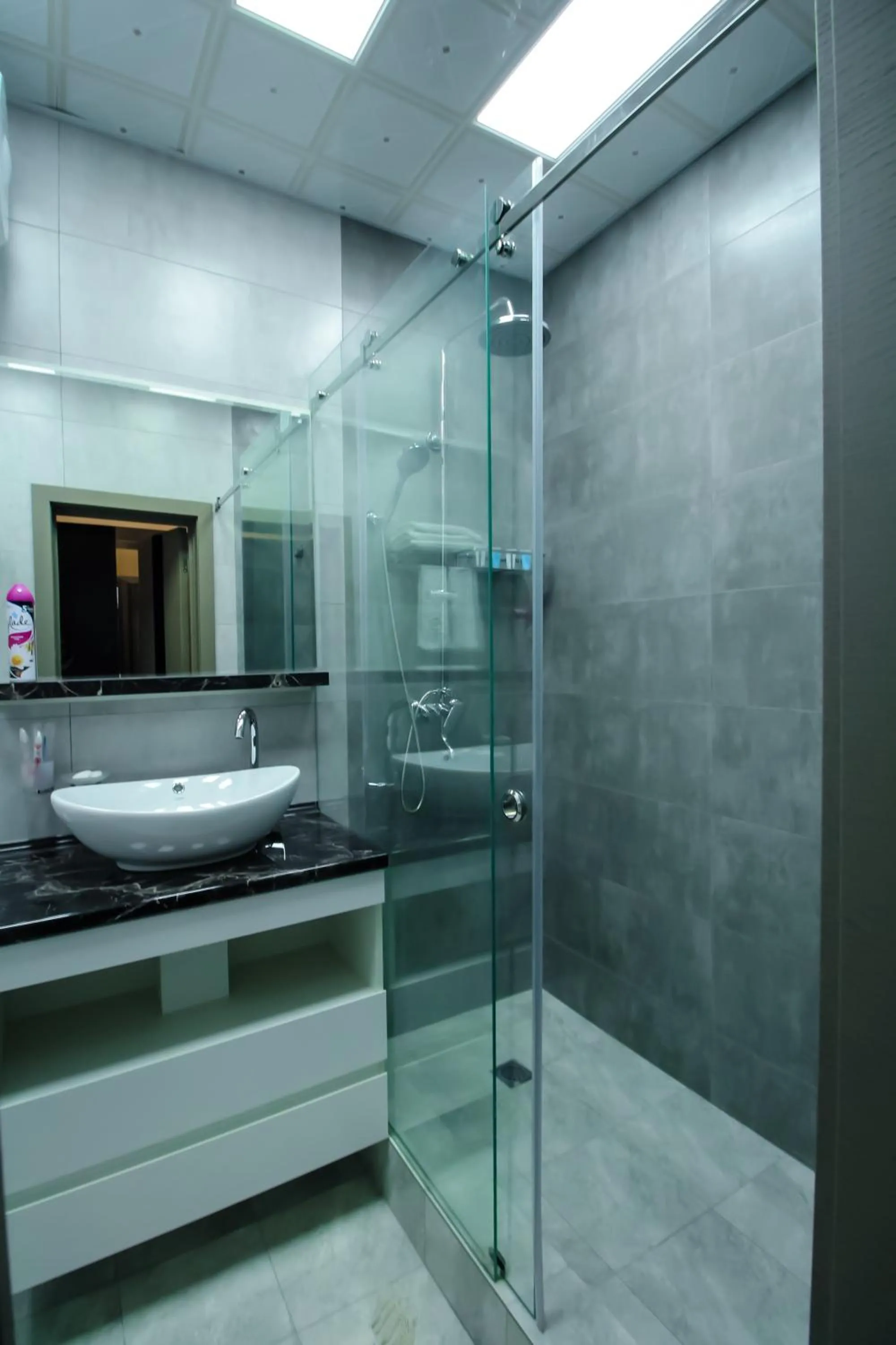 Shower in SAFIR BUSINESS HOTEL o