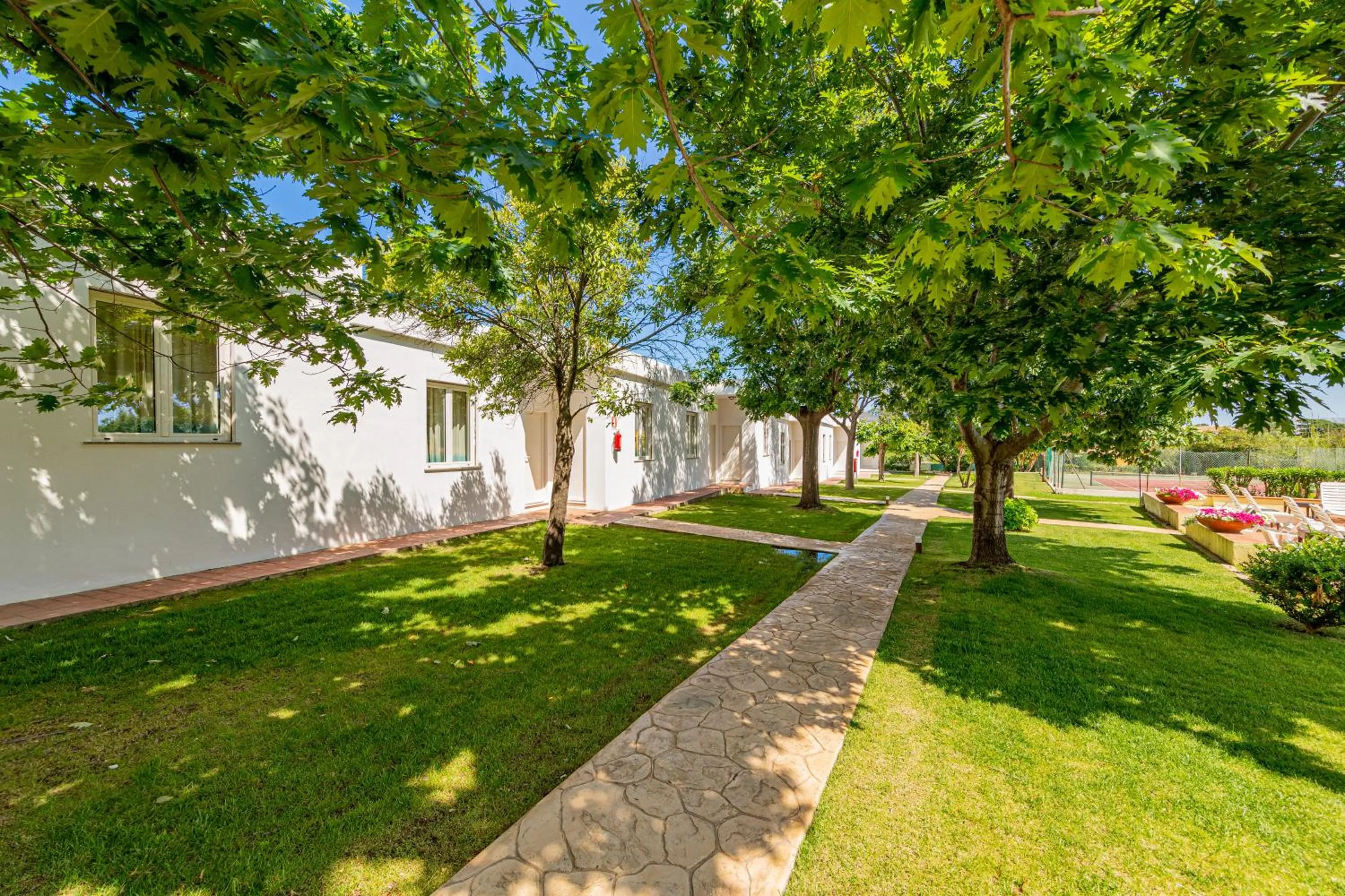 Garden in Hotel Le Mimose