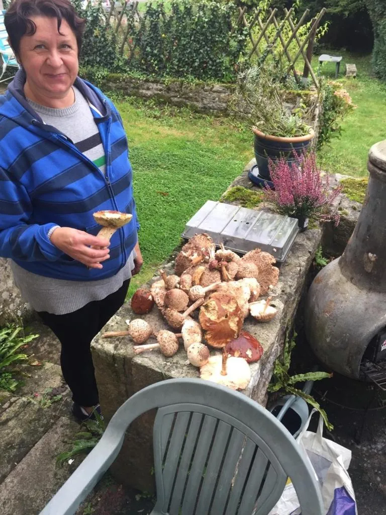 Property building in Val d'Arguenon