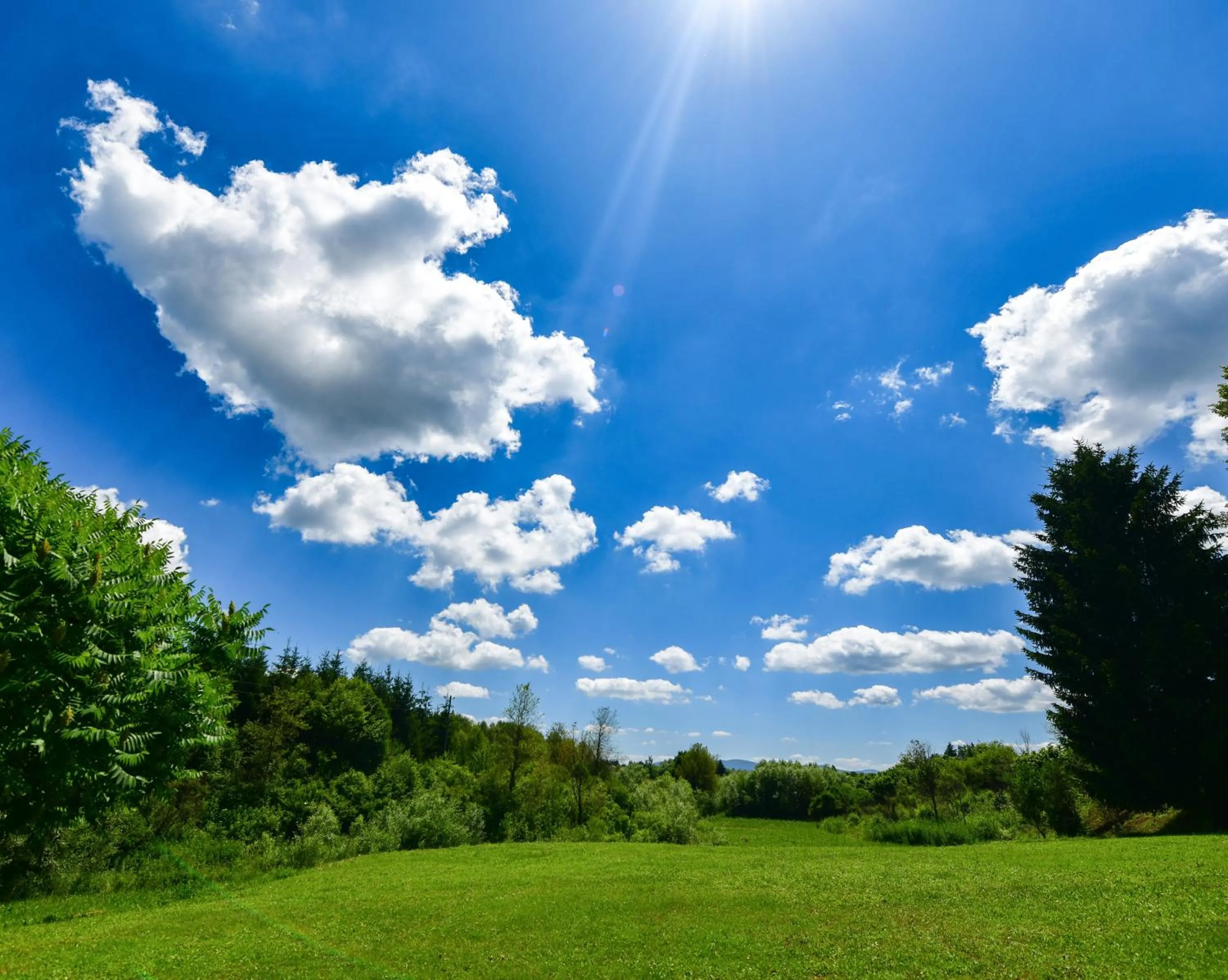 Natural landscape in Apartments Marija