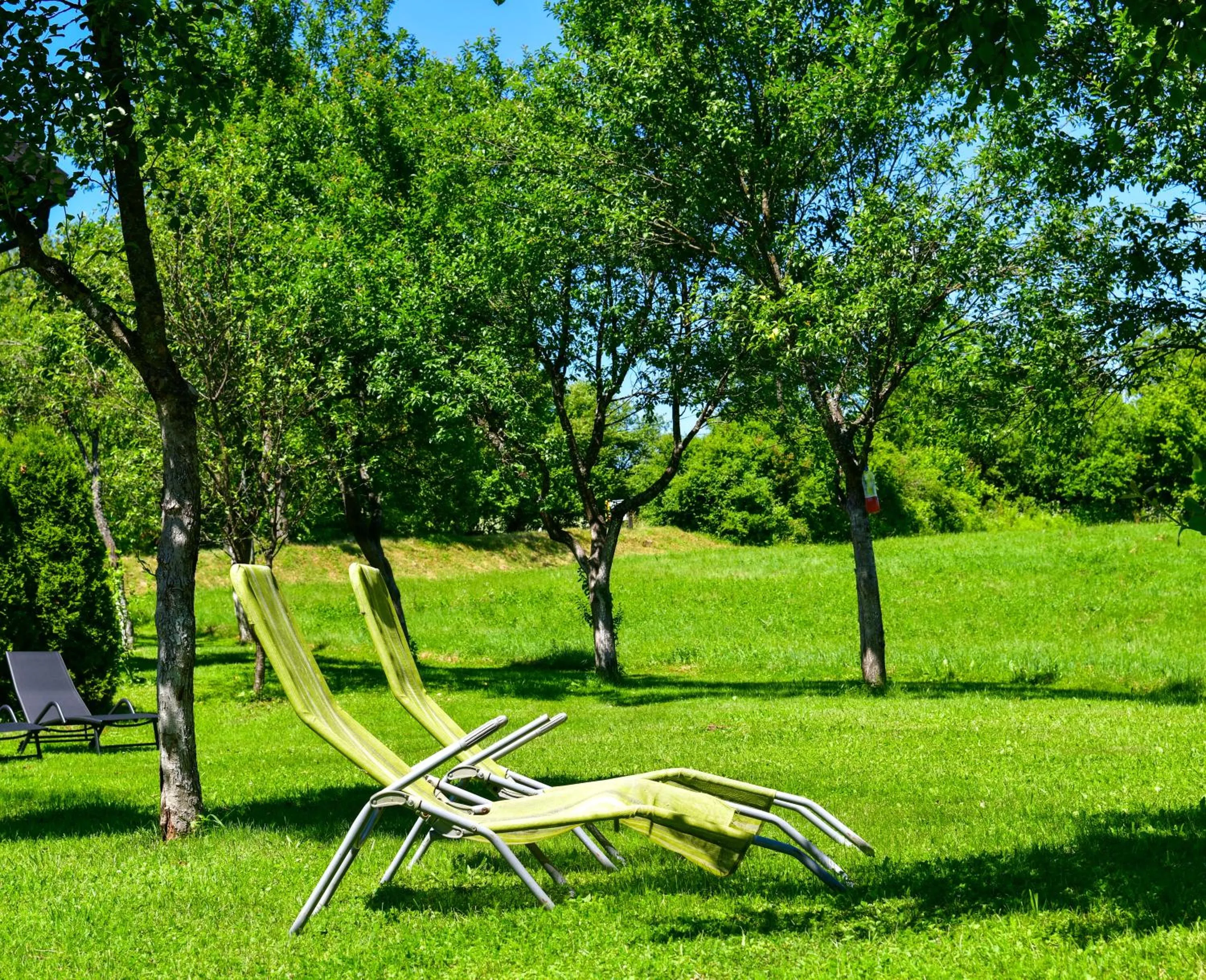 Garden in Apartments Marija