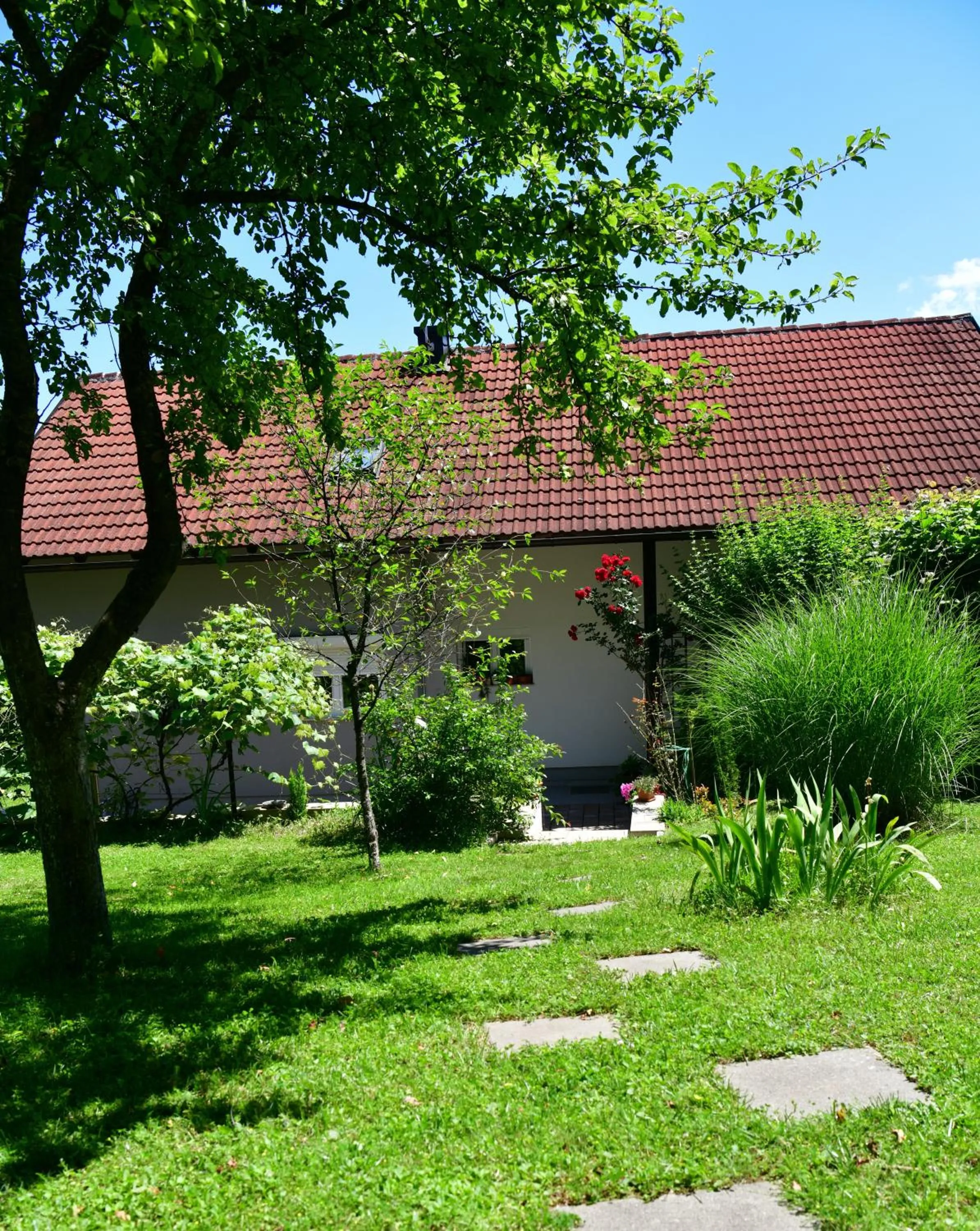 Garden in Apartments Marija