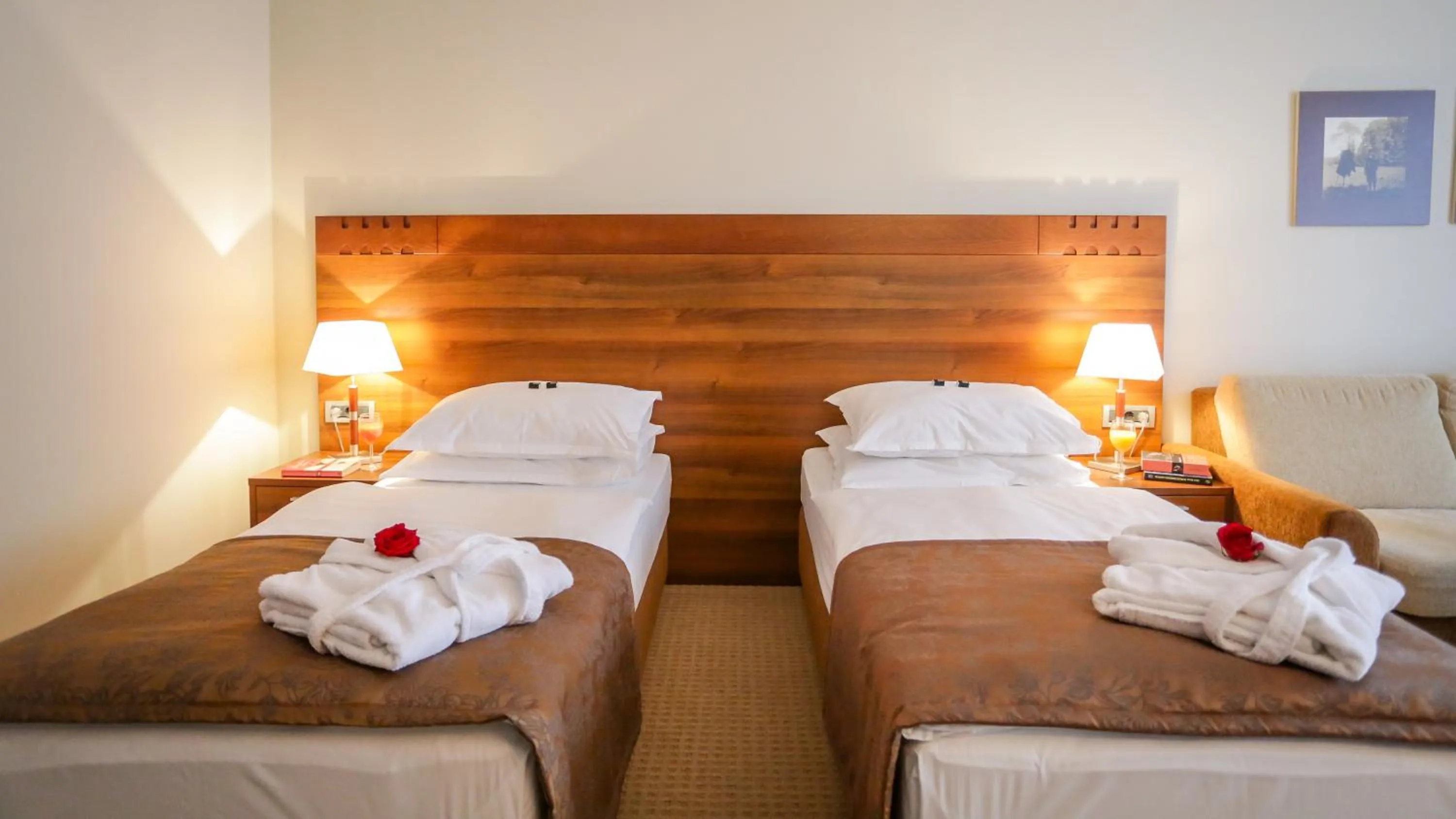 Photo of the whole room, Bed in Hotel Trakošćan