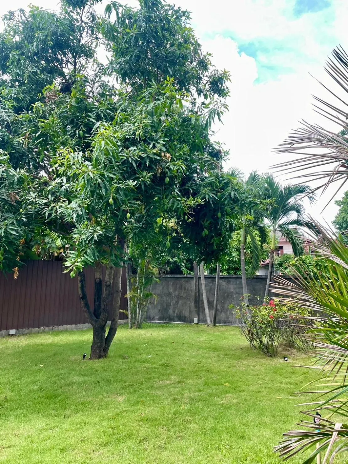 Garden in Hotel De Wualai