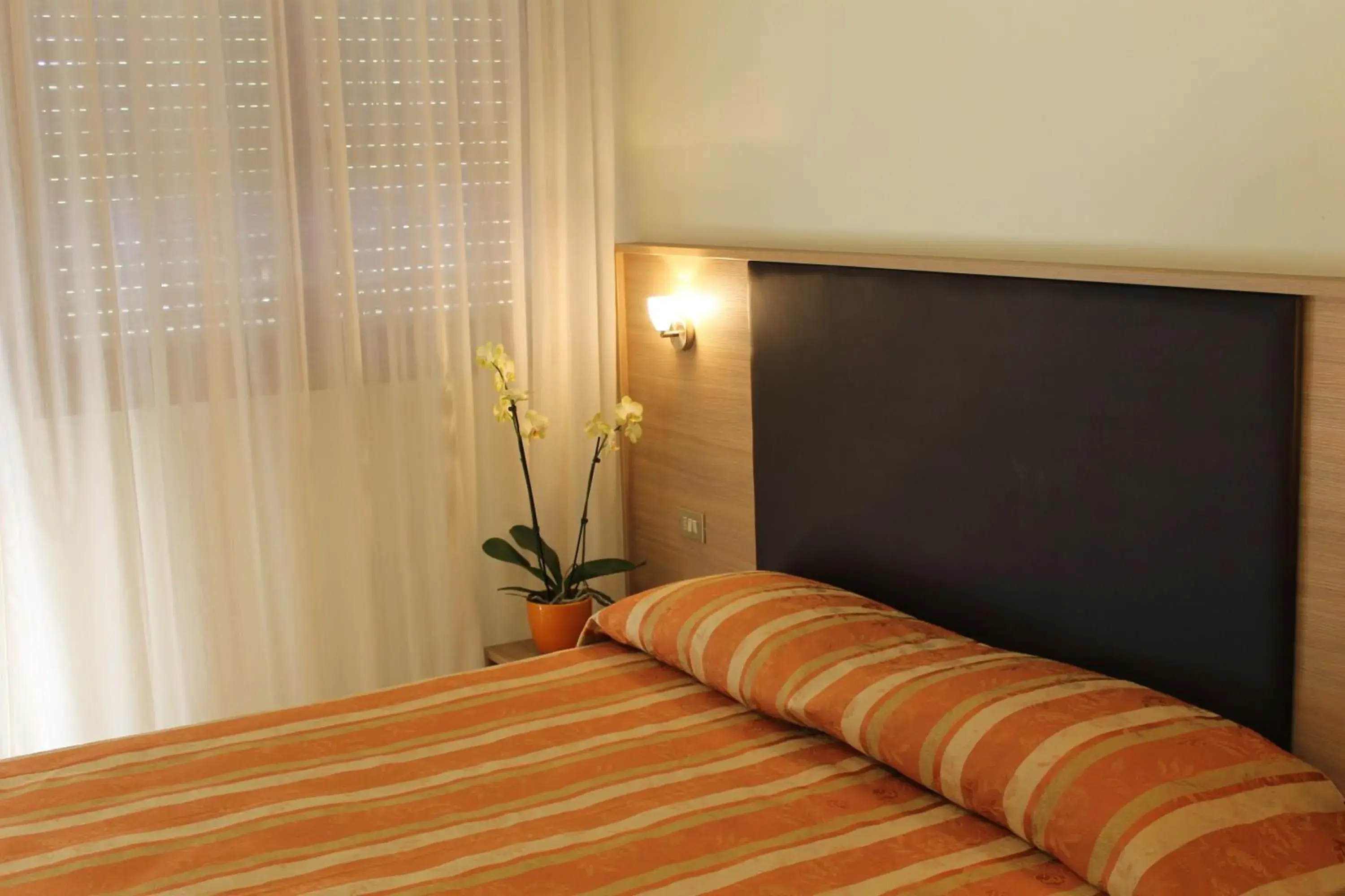 Economy Double or Twin Room in Hotel Astor B&B Economy Double or Twin Room in Hotel Astor B&B