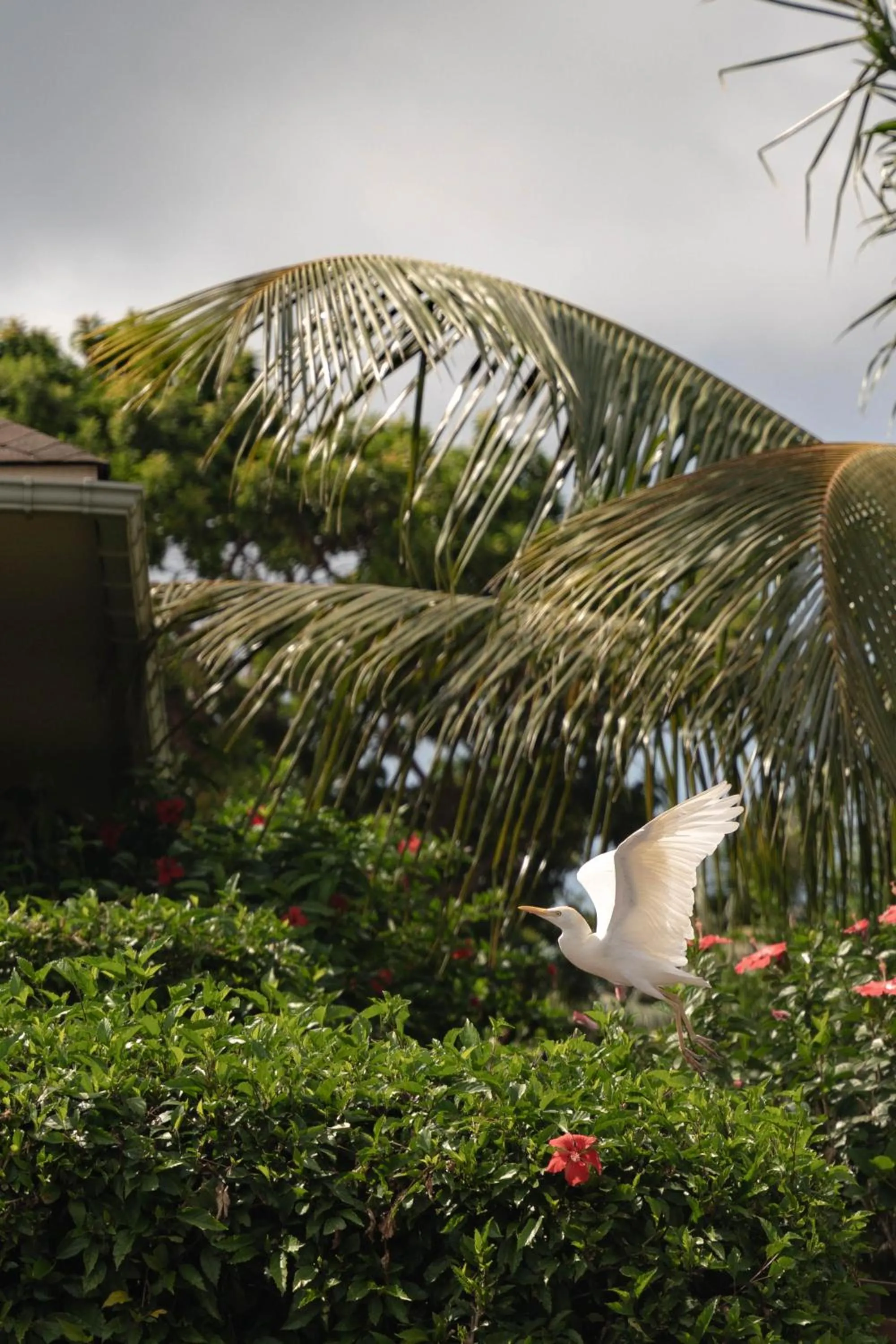 Natural landscape in Pousada Lua Bela