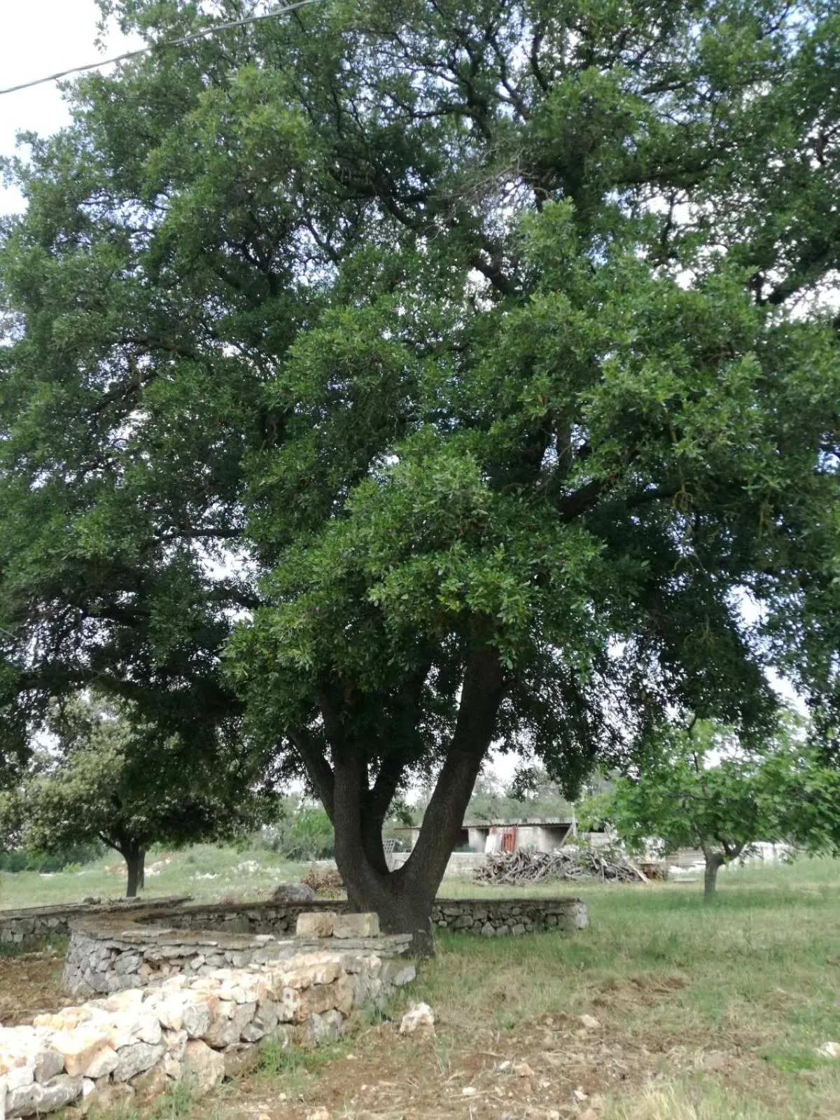 Garden view in Supramurgia Agribistrot