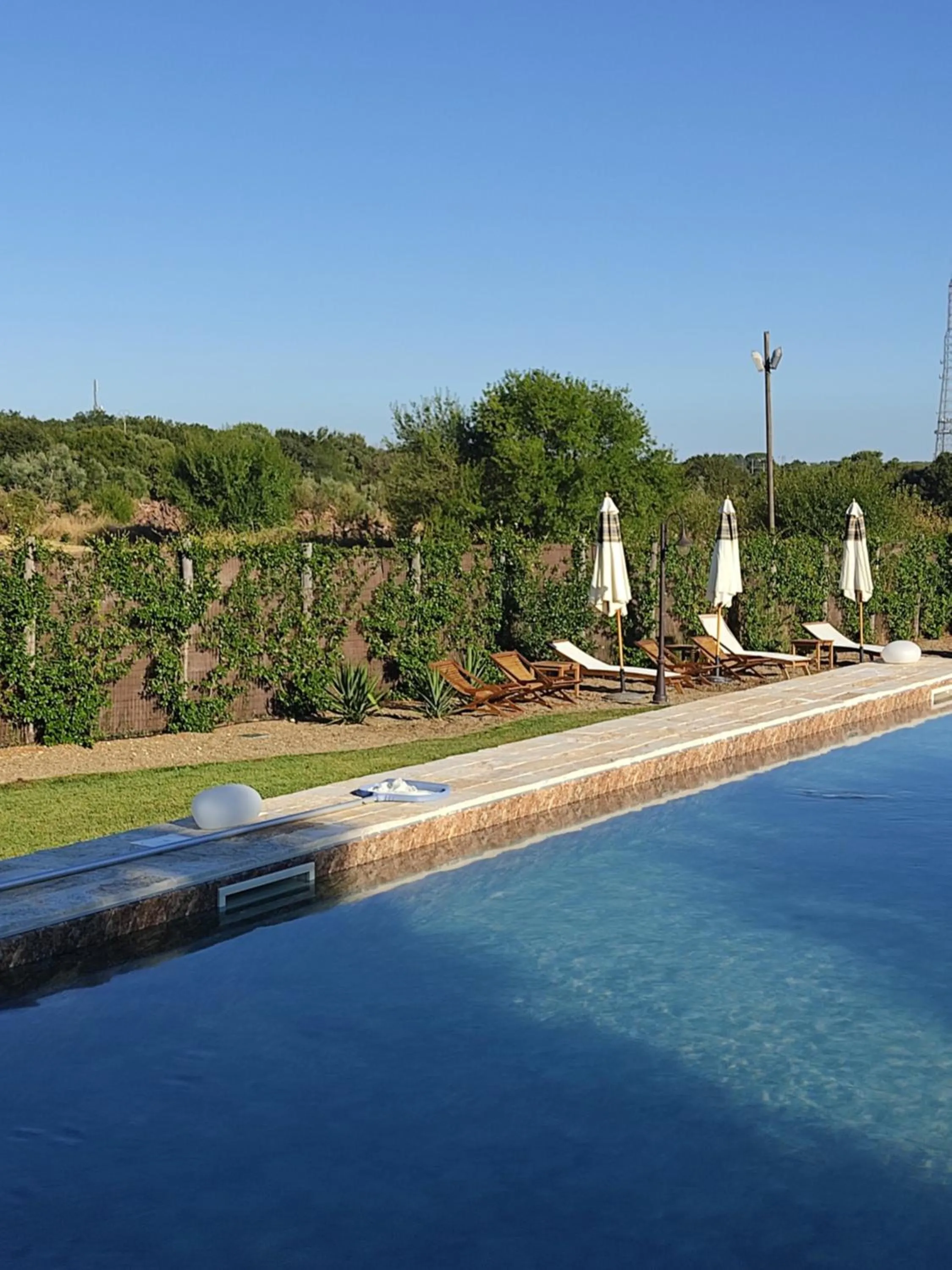Swimming pool in Supramurgia Agribistrot
