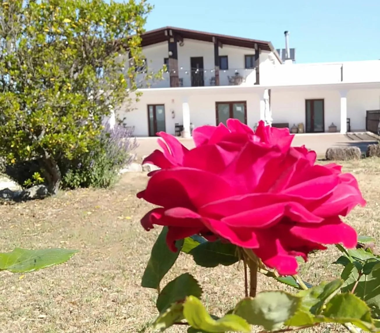 Property building in Supramurgia Agribistrot