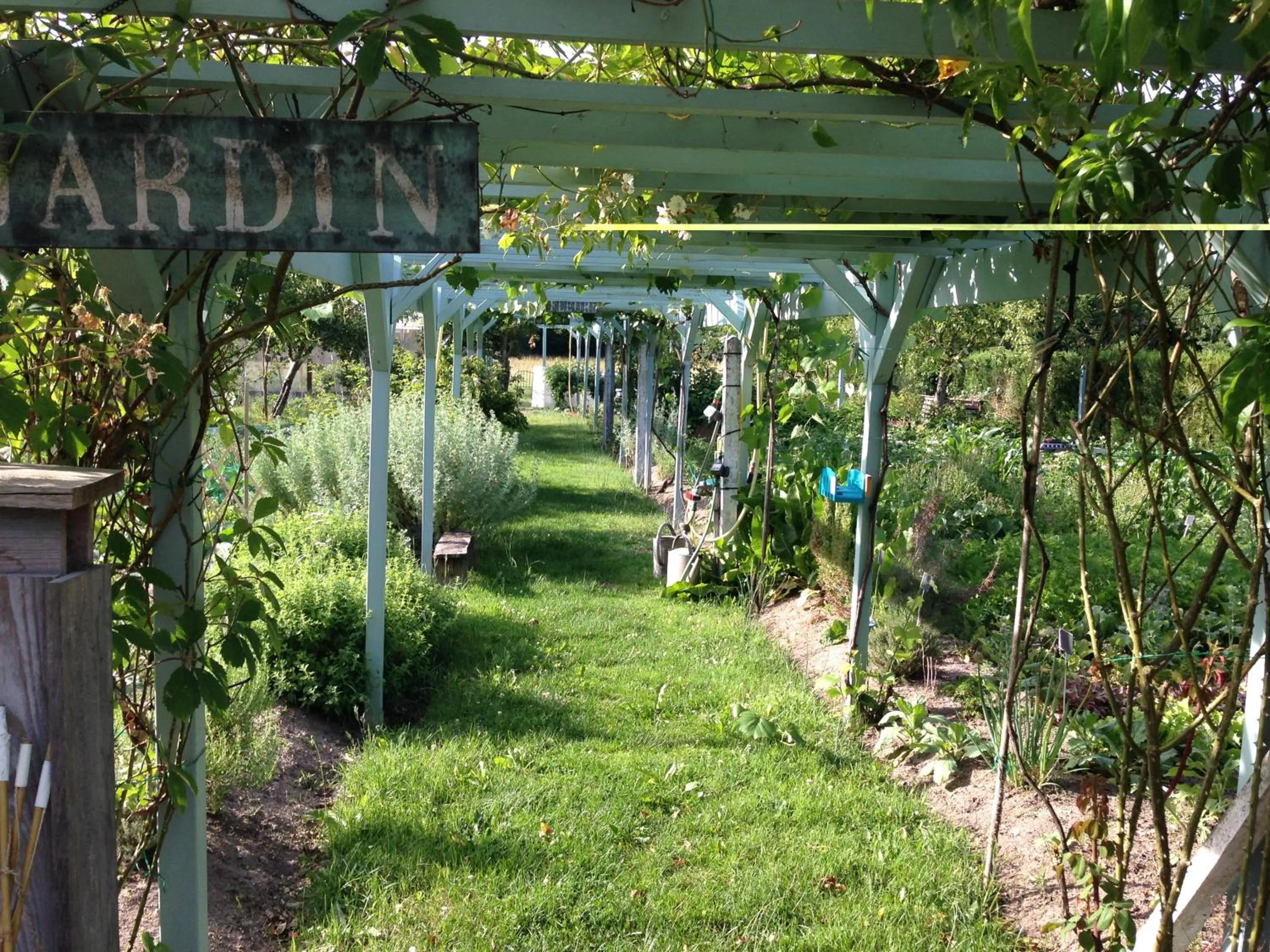Garden in Le clos du Ru