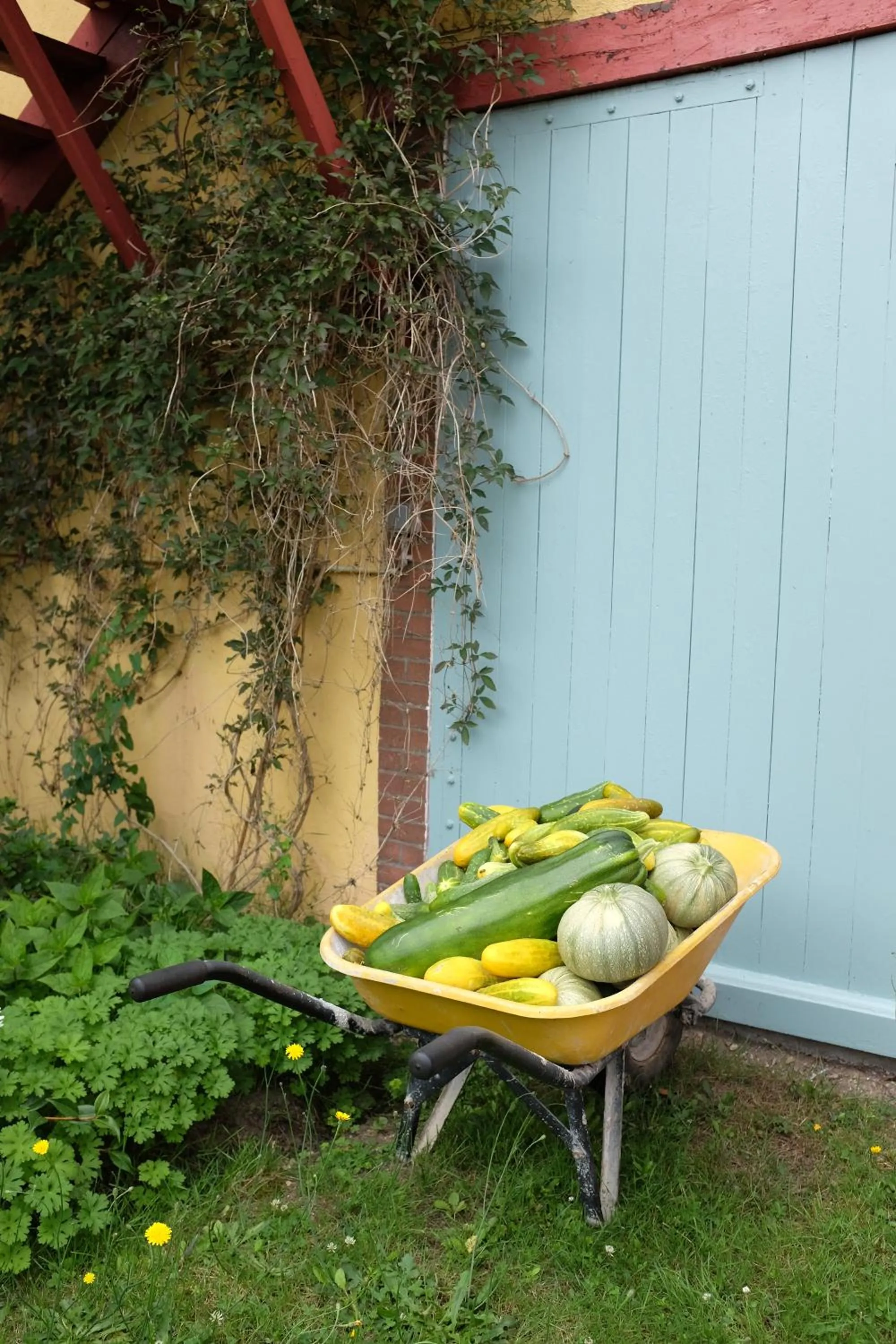 Garden in Le clos du Ru